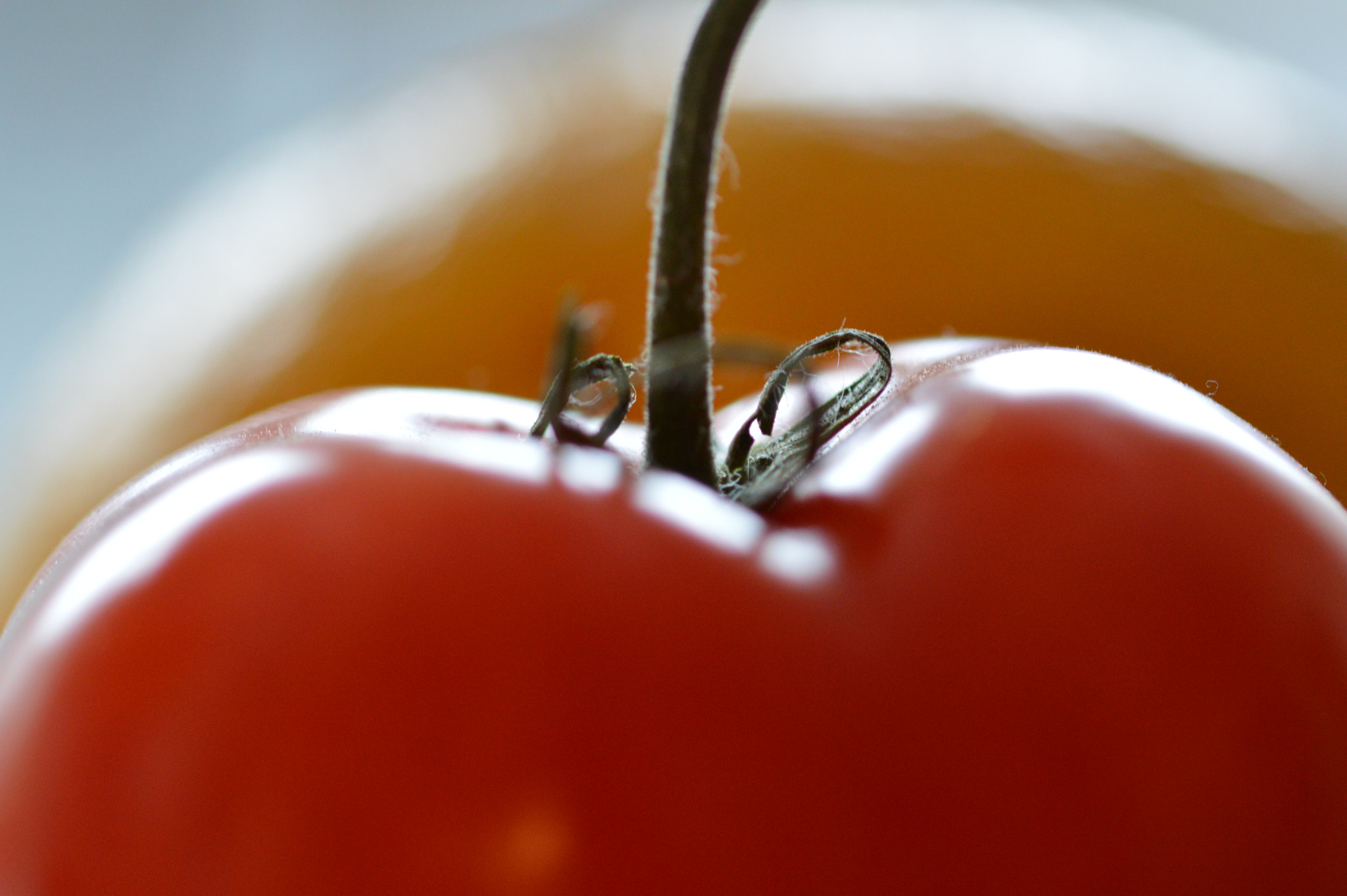 Sigma 105mm F2.8 EX DG OS HSM sample photo. Tomato lemon photography