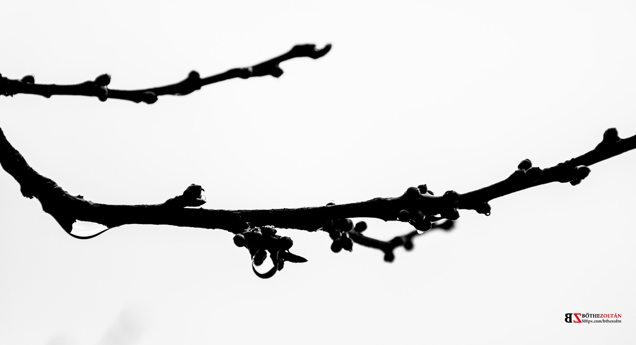 Samsung NX300 + Samsung NX 18-55mm F3.5-5.6 OIS sample photo. Eső után (after rain) photography