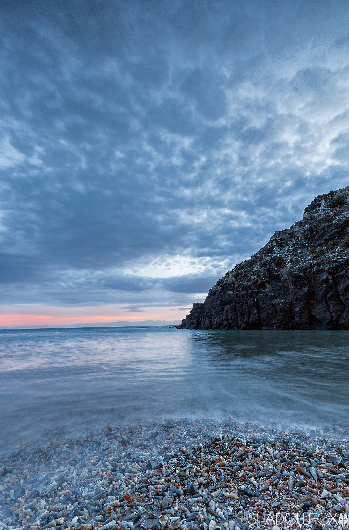 Sigma 10-20mm F3.5 EX DC HSM sample photo. I see sea shells: aramoana 2017 photography