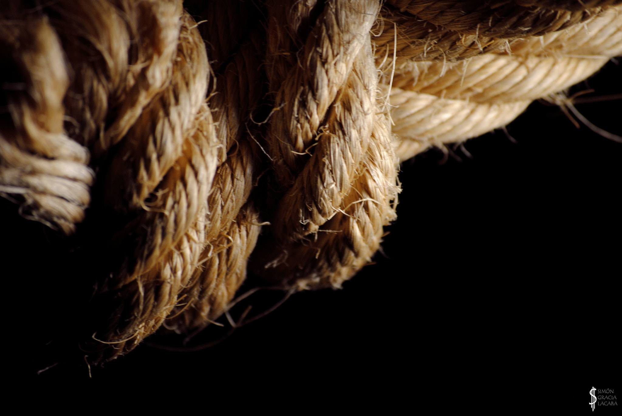 Nikon D3000 sample photo. Thick knots photography