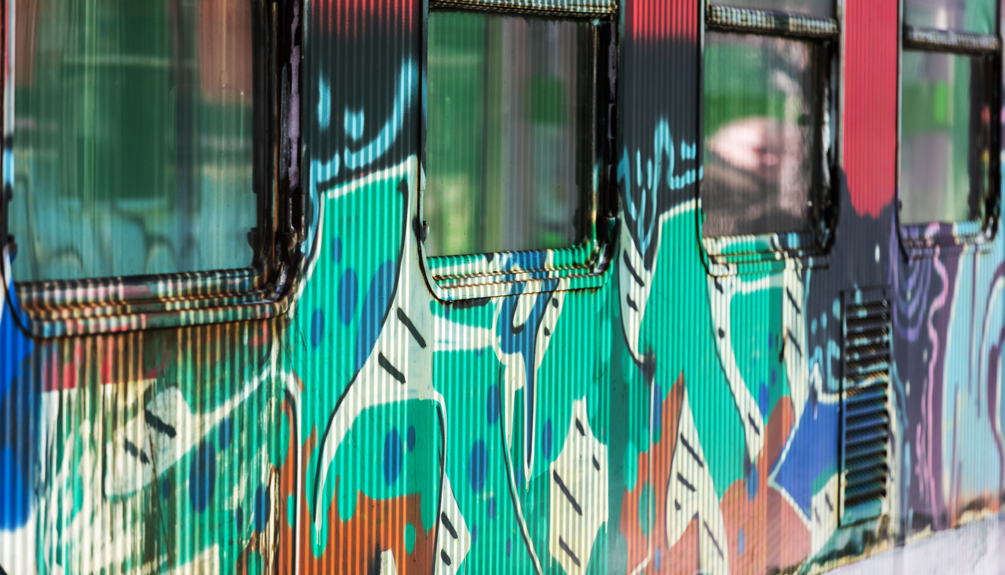 Canon EF 70-200mm F4L IS USM sample photo. Wagon photography