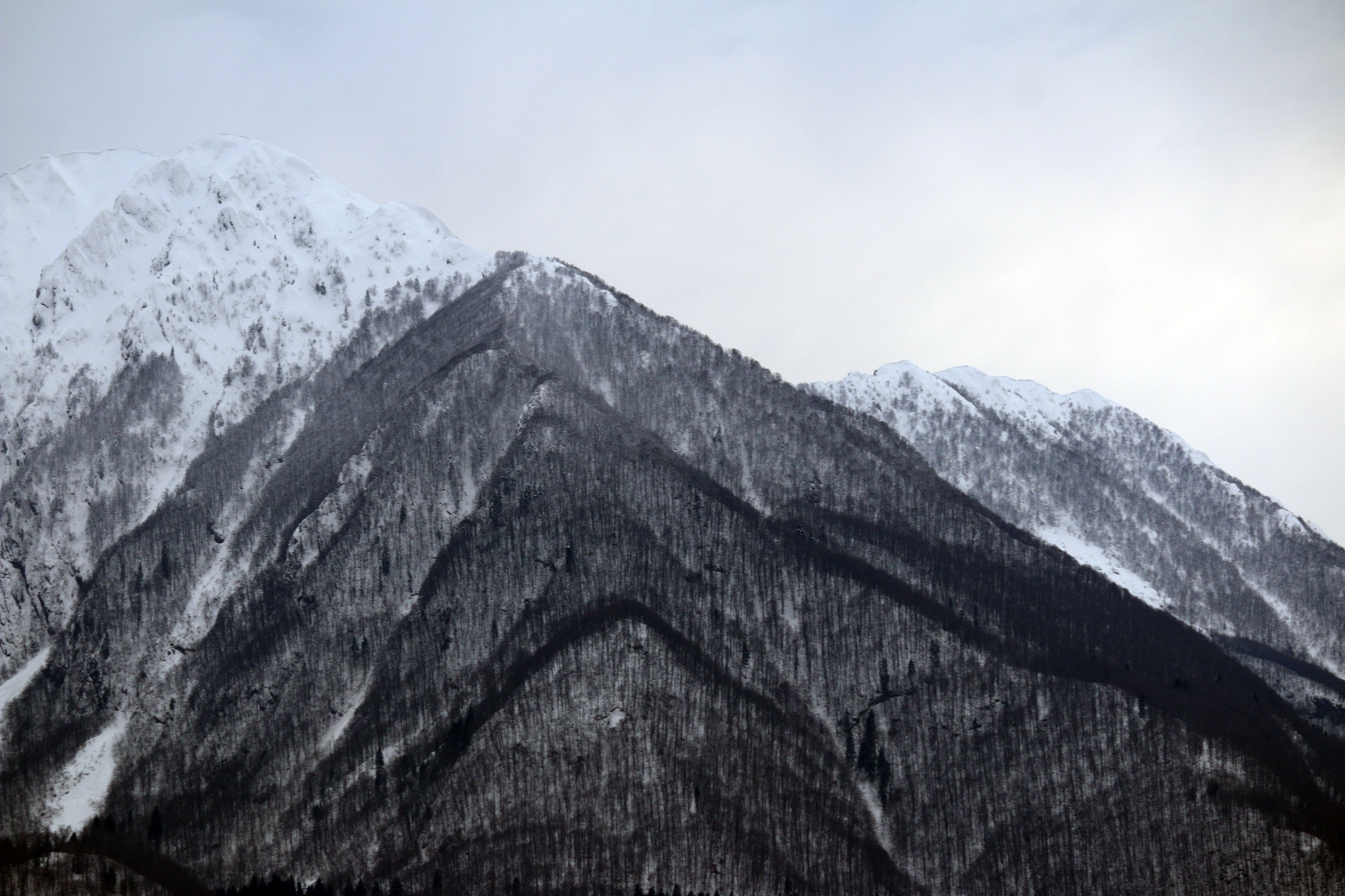 Canon EF-S 55-250mm F4-5.6 IS II sample photo. простым карандашом photography