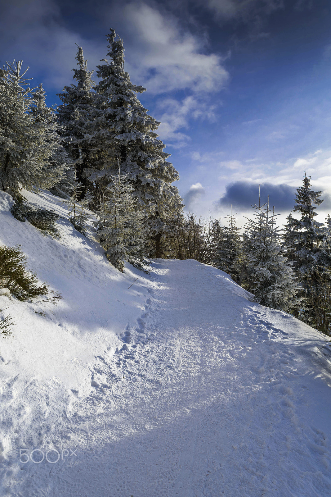 Nikon D5500 sample photo. Wintertime photography