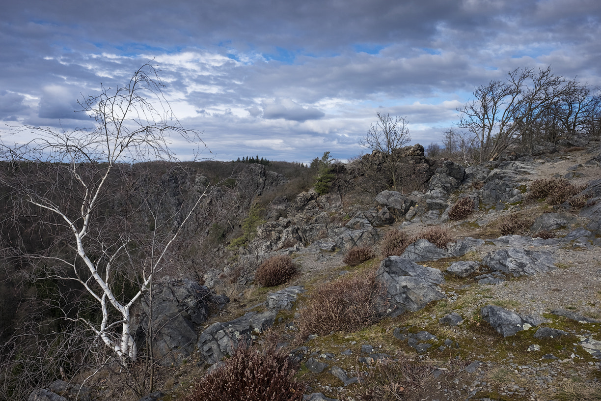 Fujifilm XF 16mm F1.4 R WR sample photo. Sarecke udoli photography