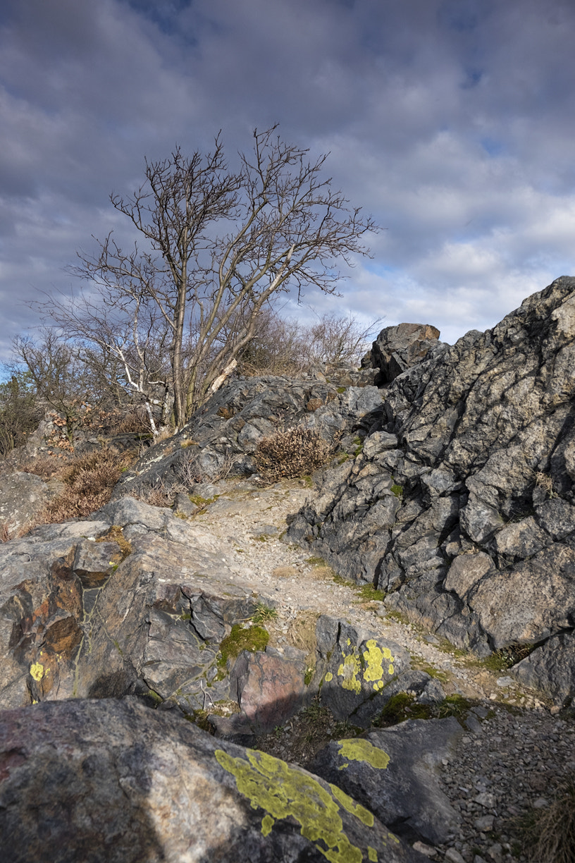 Fujifilm XF 16mm F1.4 R WR sample photo. Sarecke udoli photography