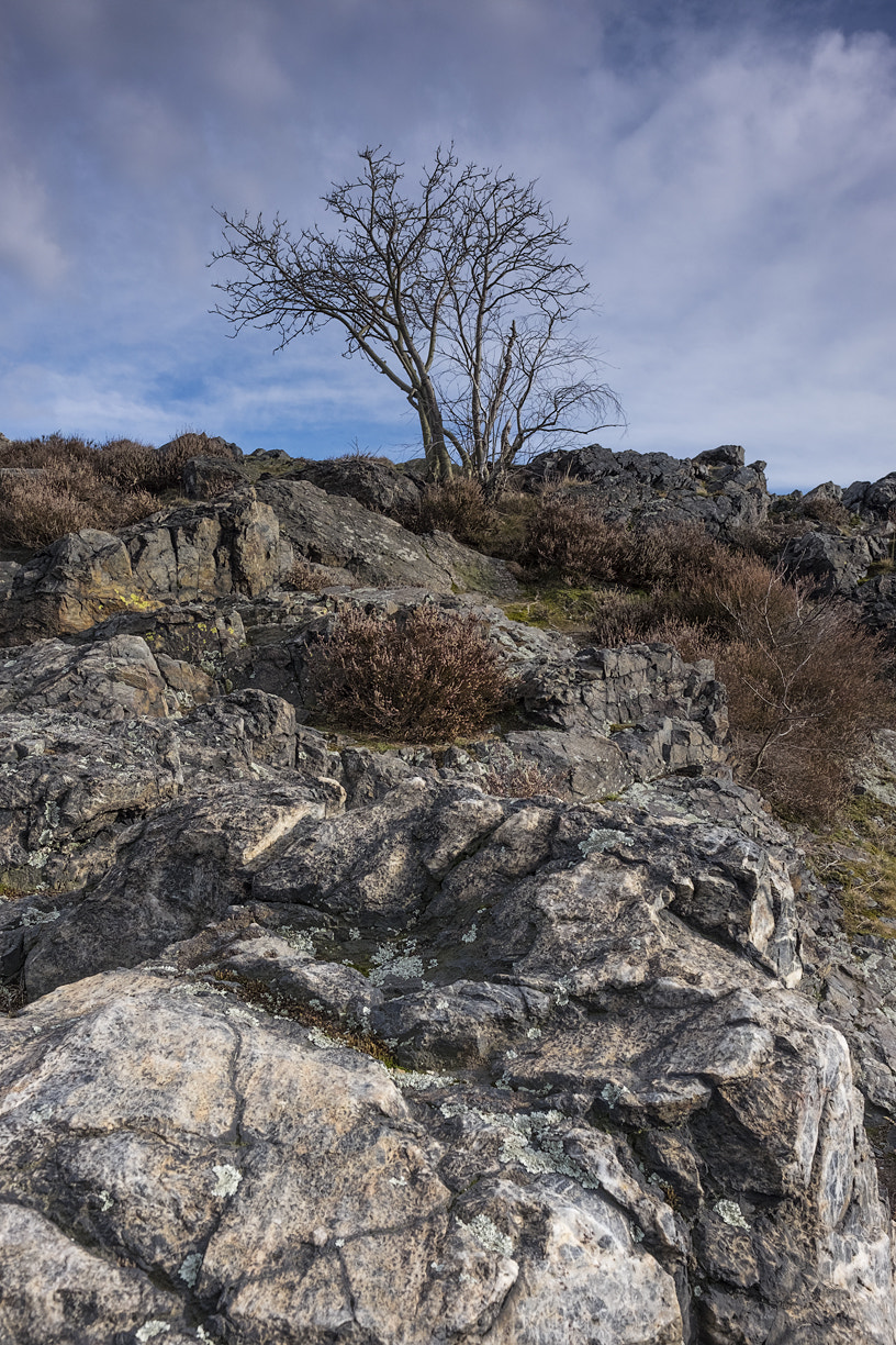Fujifilm XF 16mm F1.4 R WR sample photo. Sarecke udoli photography