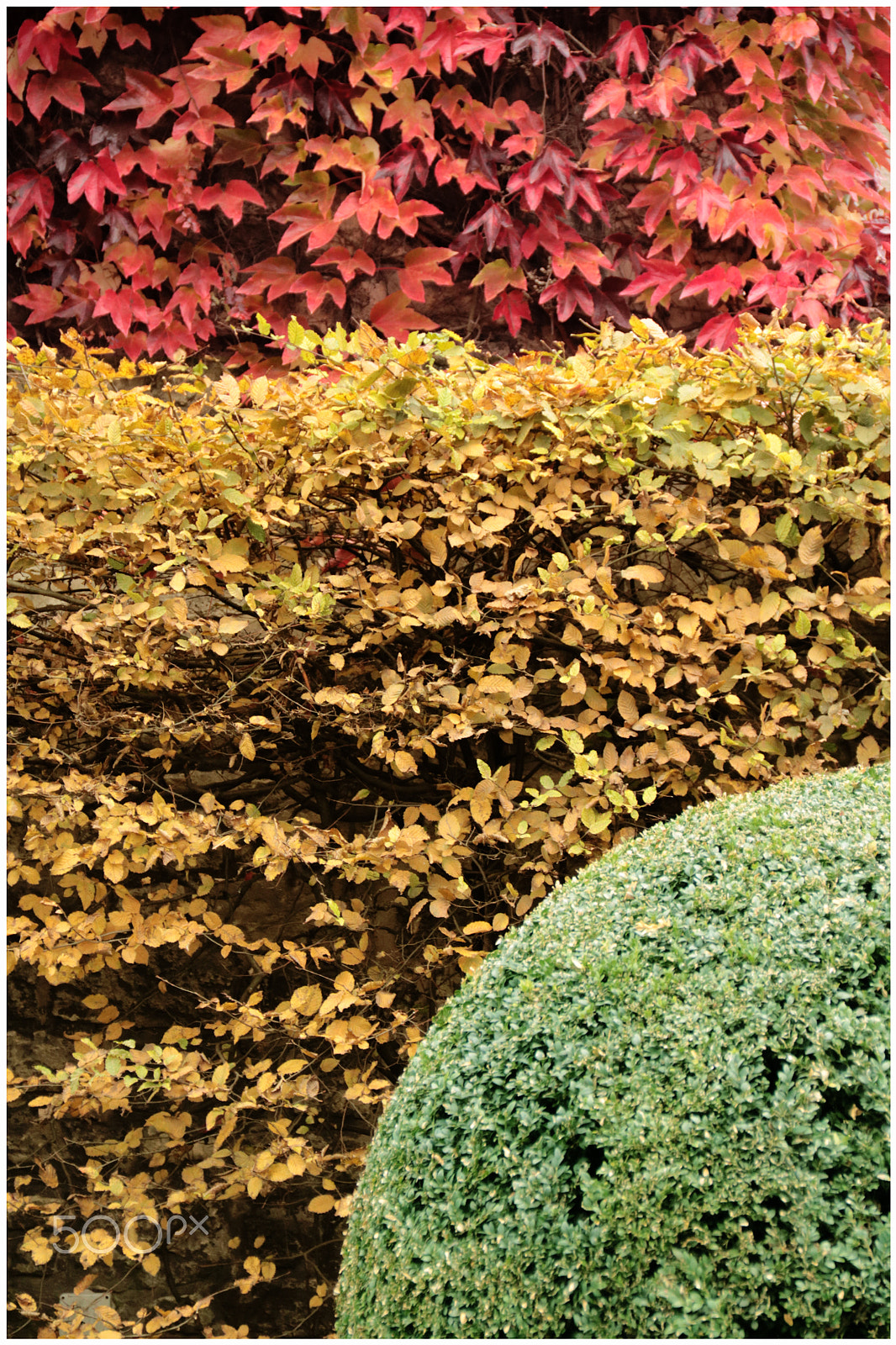 Canon EOS 760D (EOS Rebel T6s / EOS 8000D) sample photo. Jardin à la française - french-style graden photography