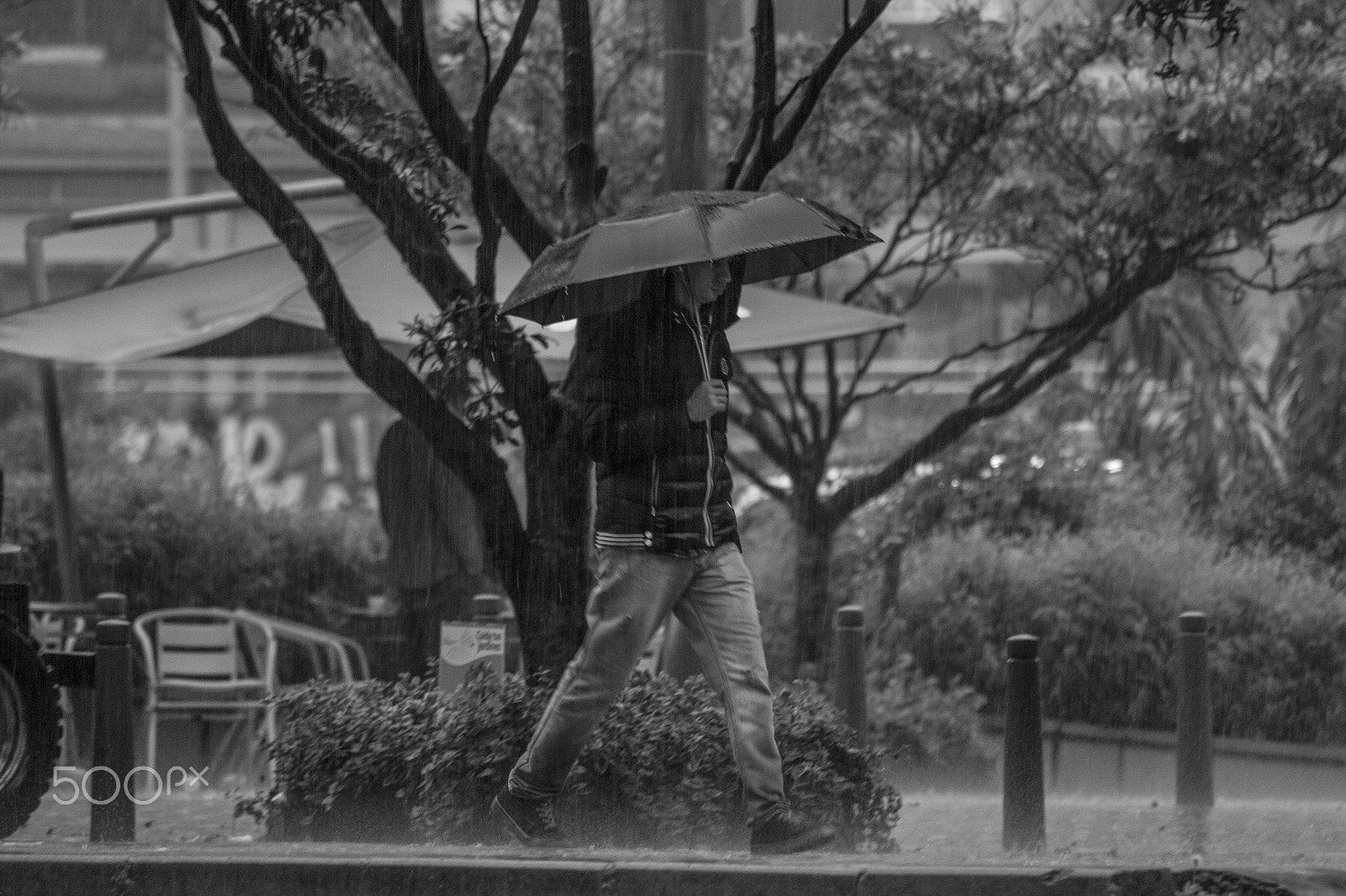 Canon EOS 600D (Rebel EOS T3i / EOS Kiss X5) + Sigma 50-200mm F4-5.6 DC OS HSM sample photo. Rainy day photography