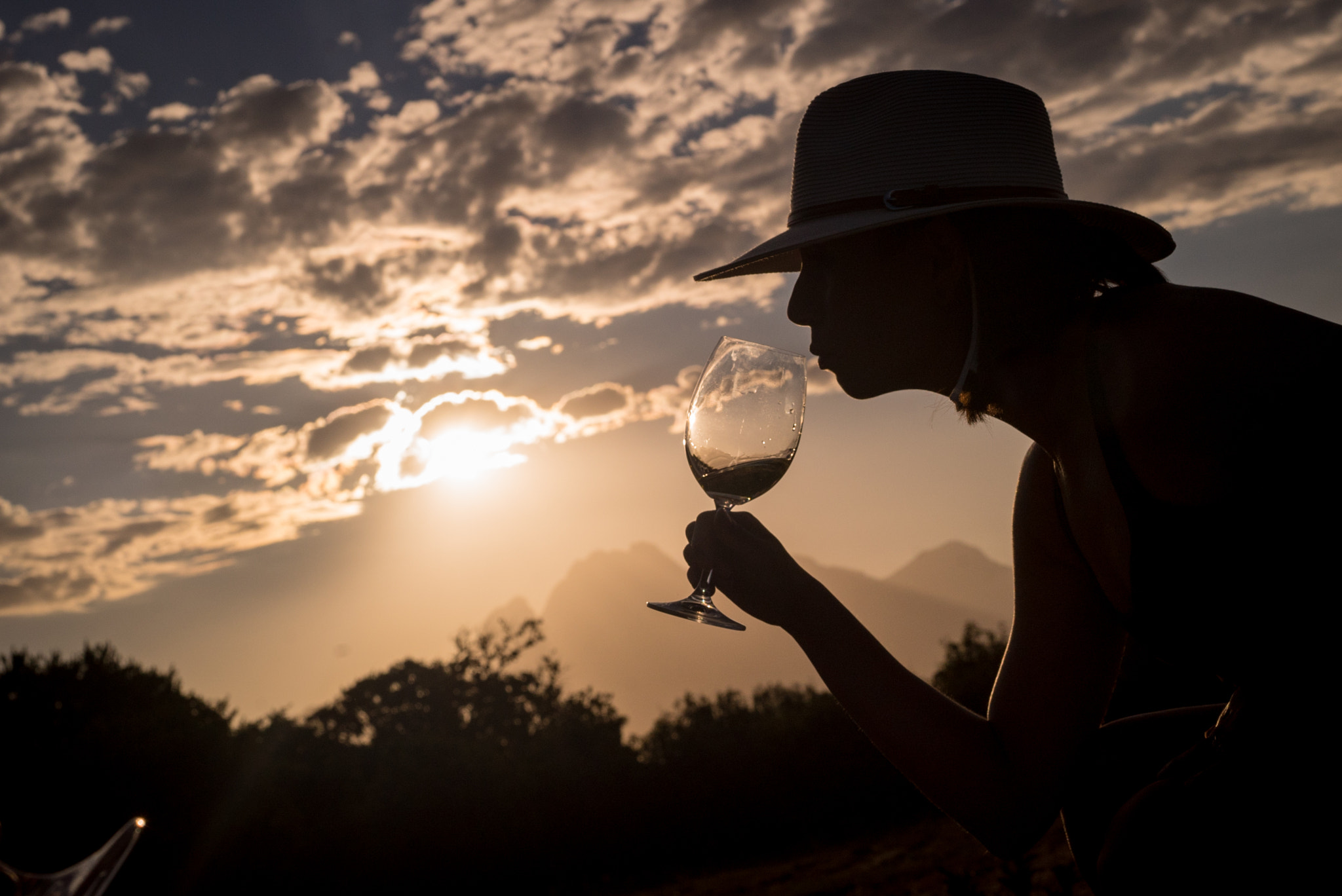 Sony a7S sample photo. Wine at sunset photography