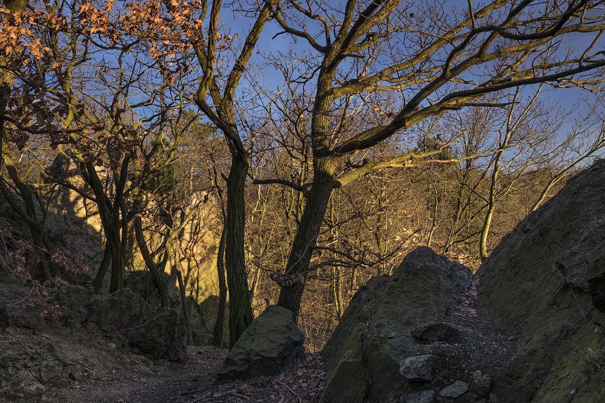 Fujifilm XF 16mm F1.4 R WR sample photo. Sarecke udoli photography