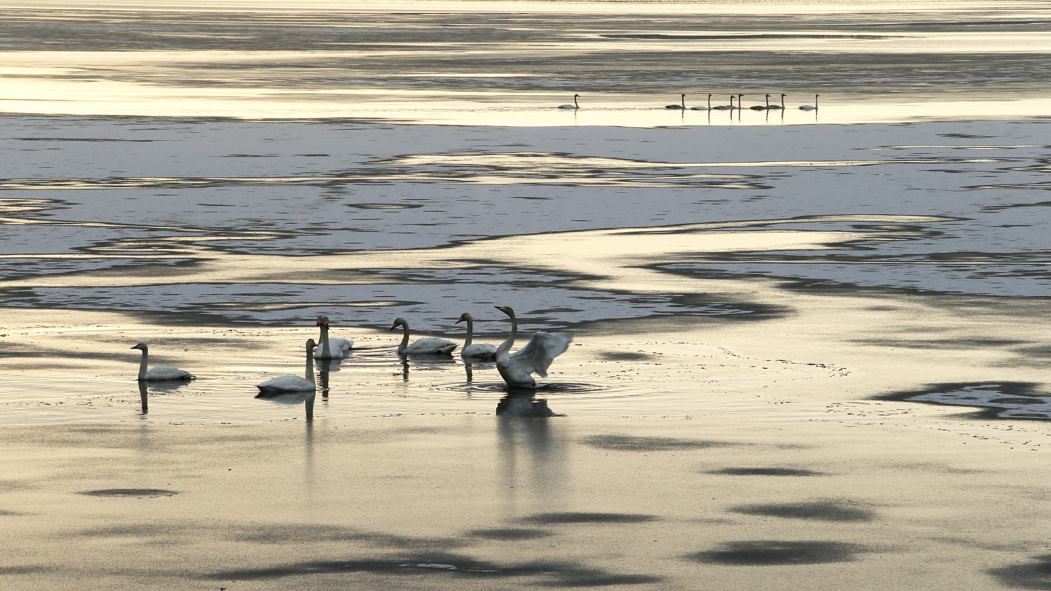 Canon EF 70-200mm F2.8L USM sample photo. Frozen morning photography