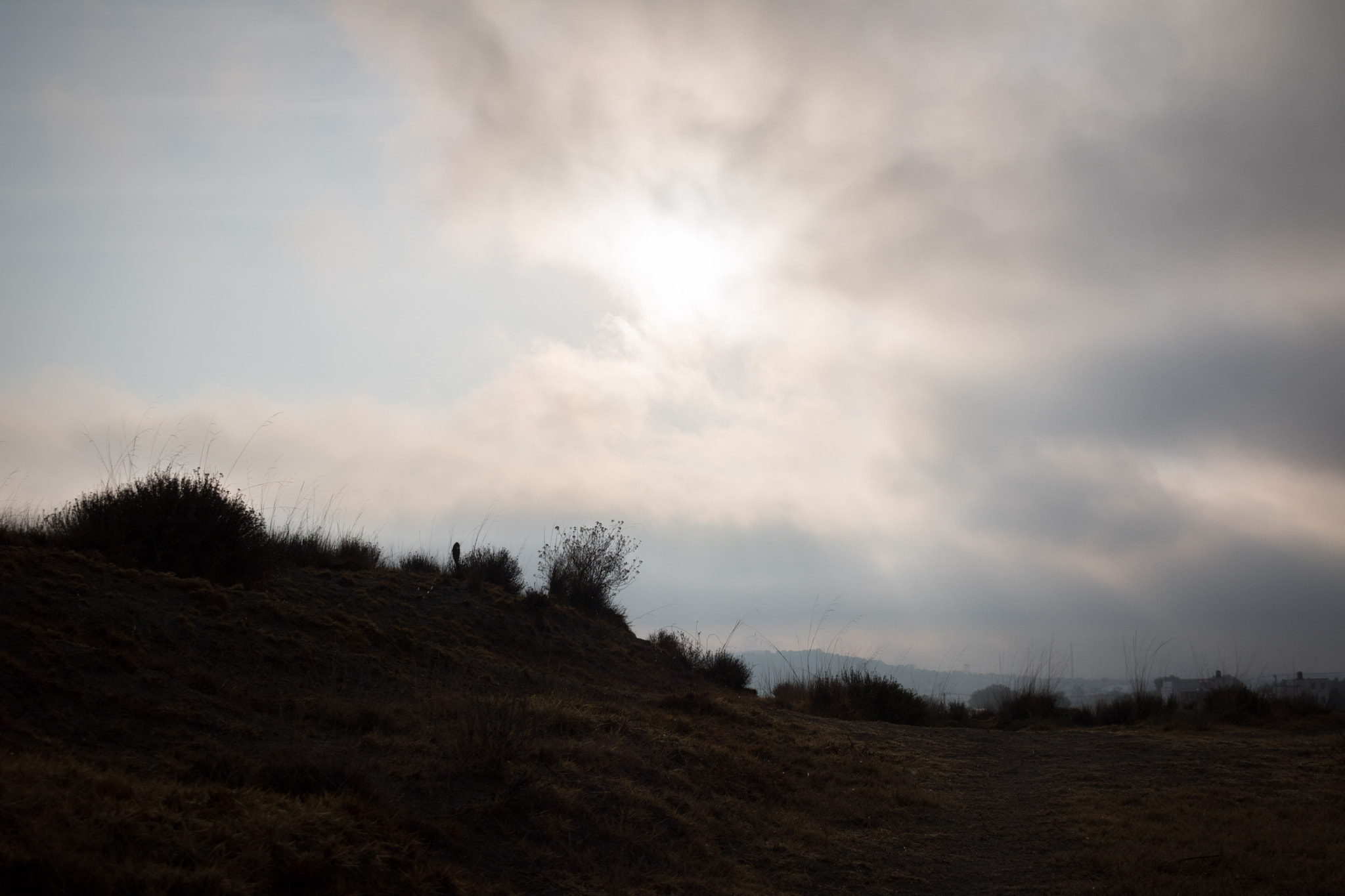 Canon EOS 750D (EOS Rebel T6i / EOS Kiss X8i) sample photo. Cielo0 :...) photography