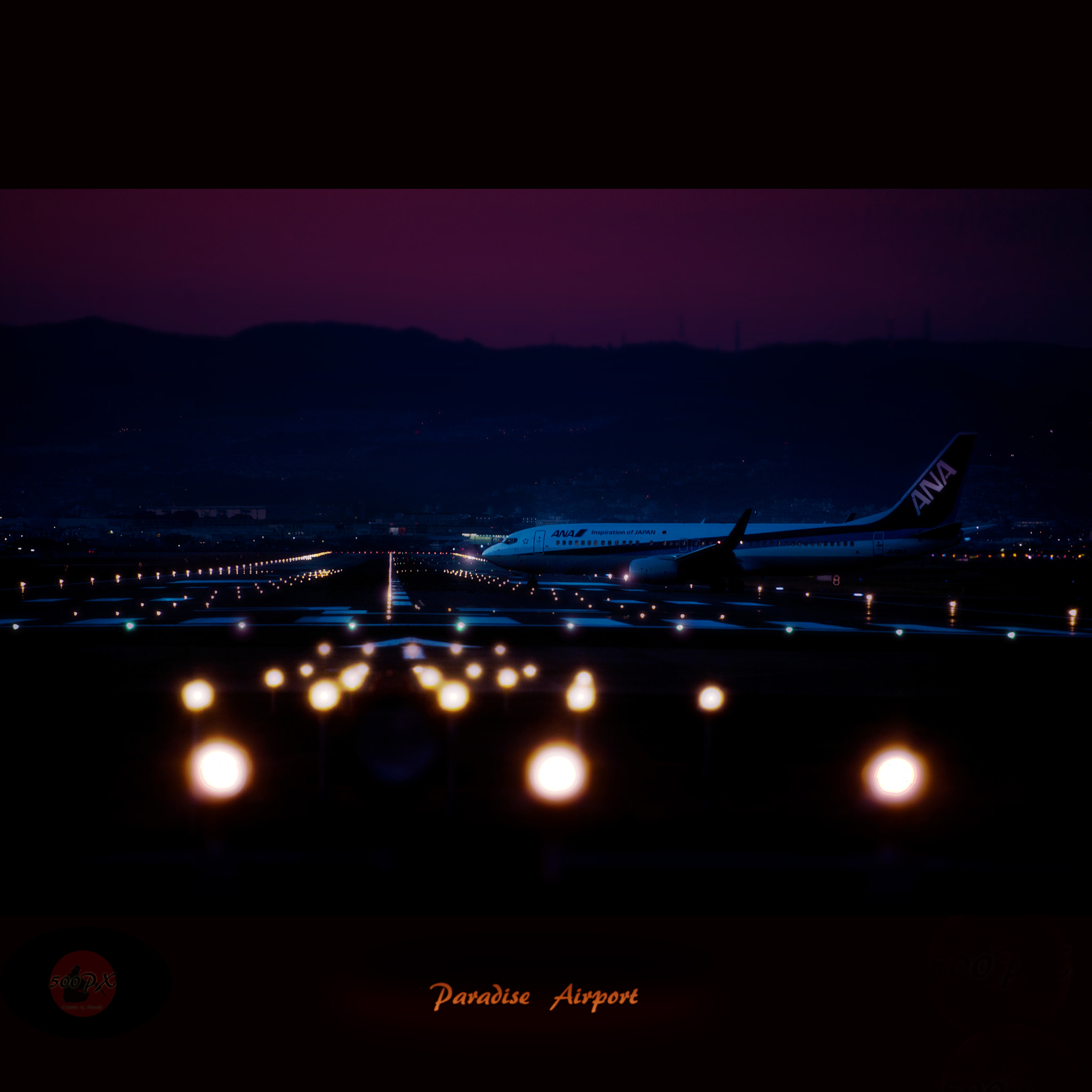 Nikon D800 + Nikon AF-S Nikkor 58mm F1.4G sample photo. Paradise airport photography