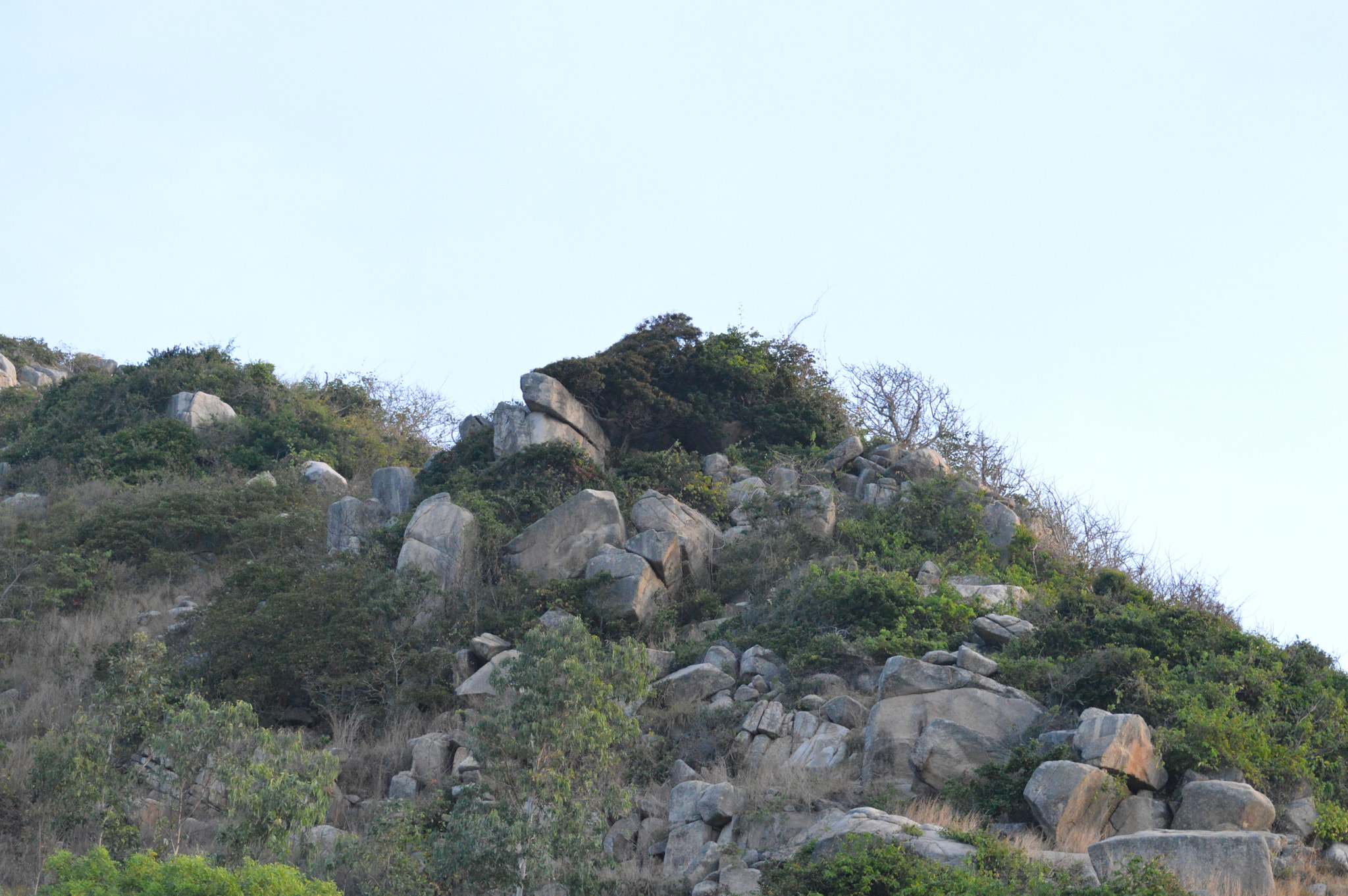 Nikon D3200 sample photo. Hillside, long hai, vietnam  photography