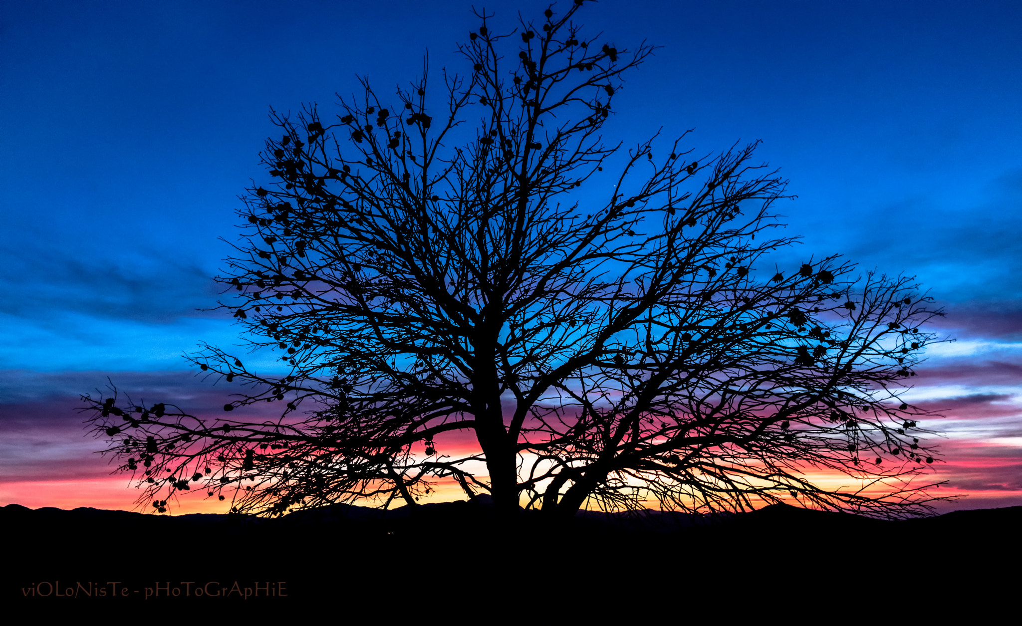 Canon EF-S 10-22mm F3.5-4.5 USM sample photo. Modifier photography