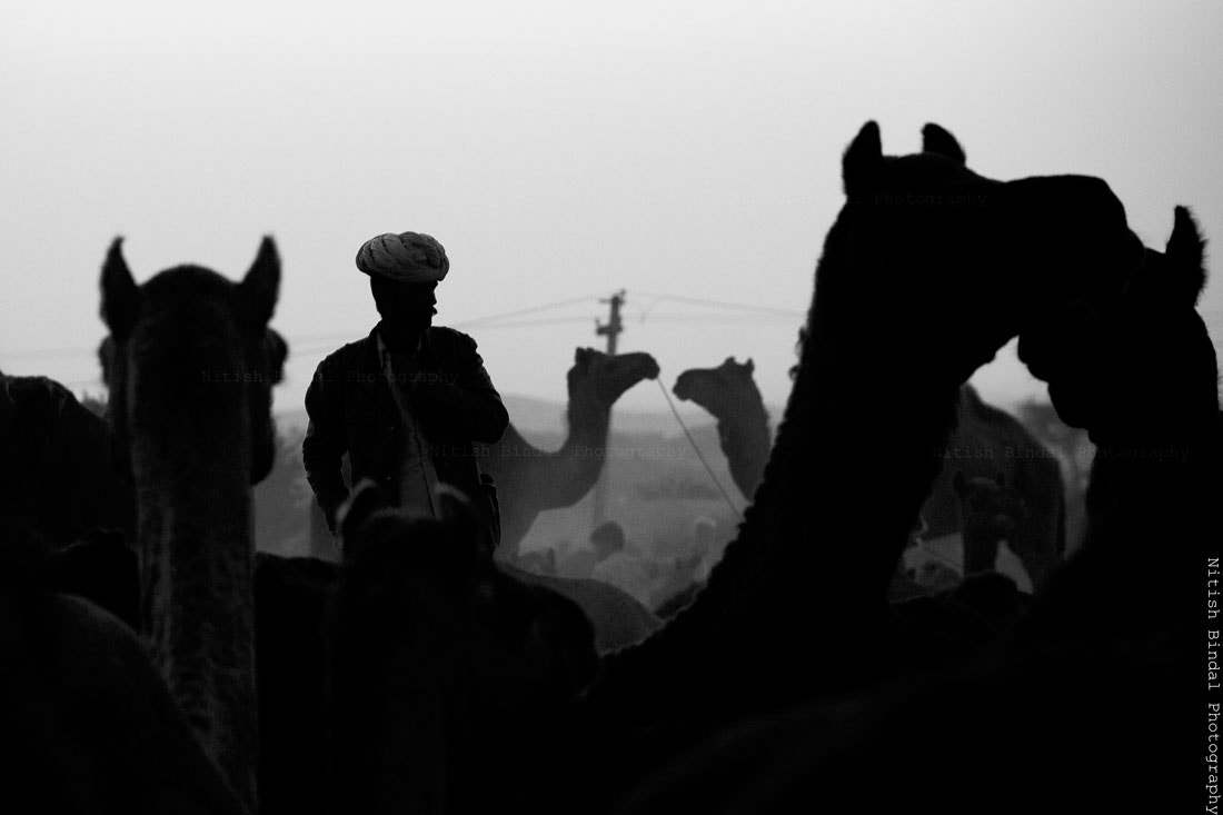 Different In The Group...!!!