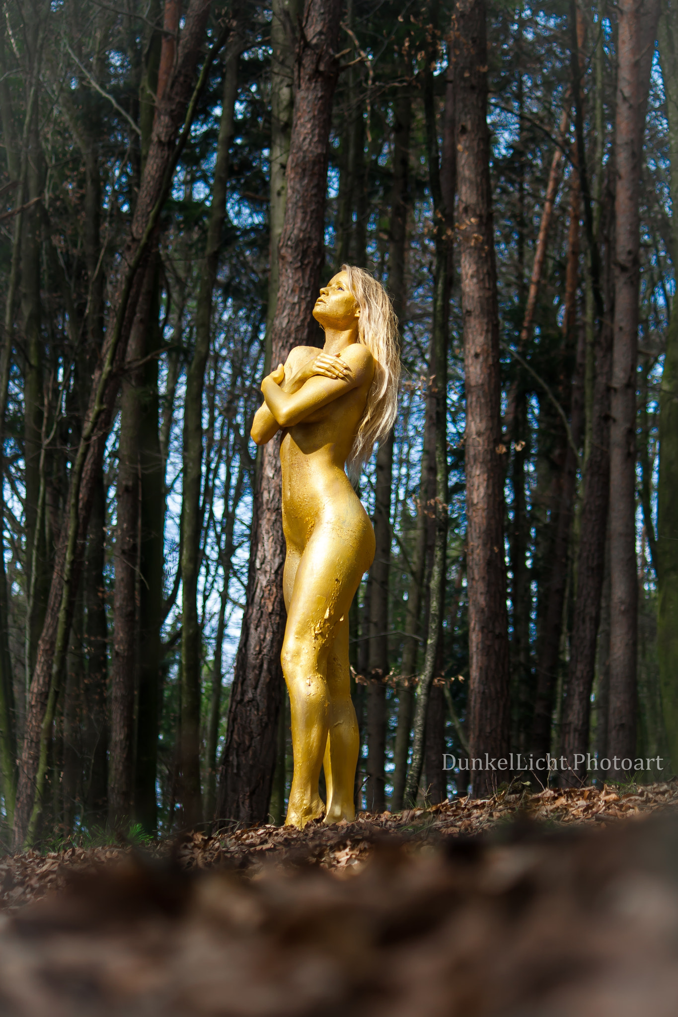 Canon EF-S 55-250mm F4-5.6 IS sample photo. Gold in the woods photography