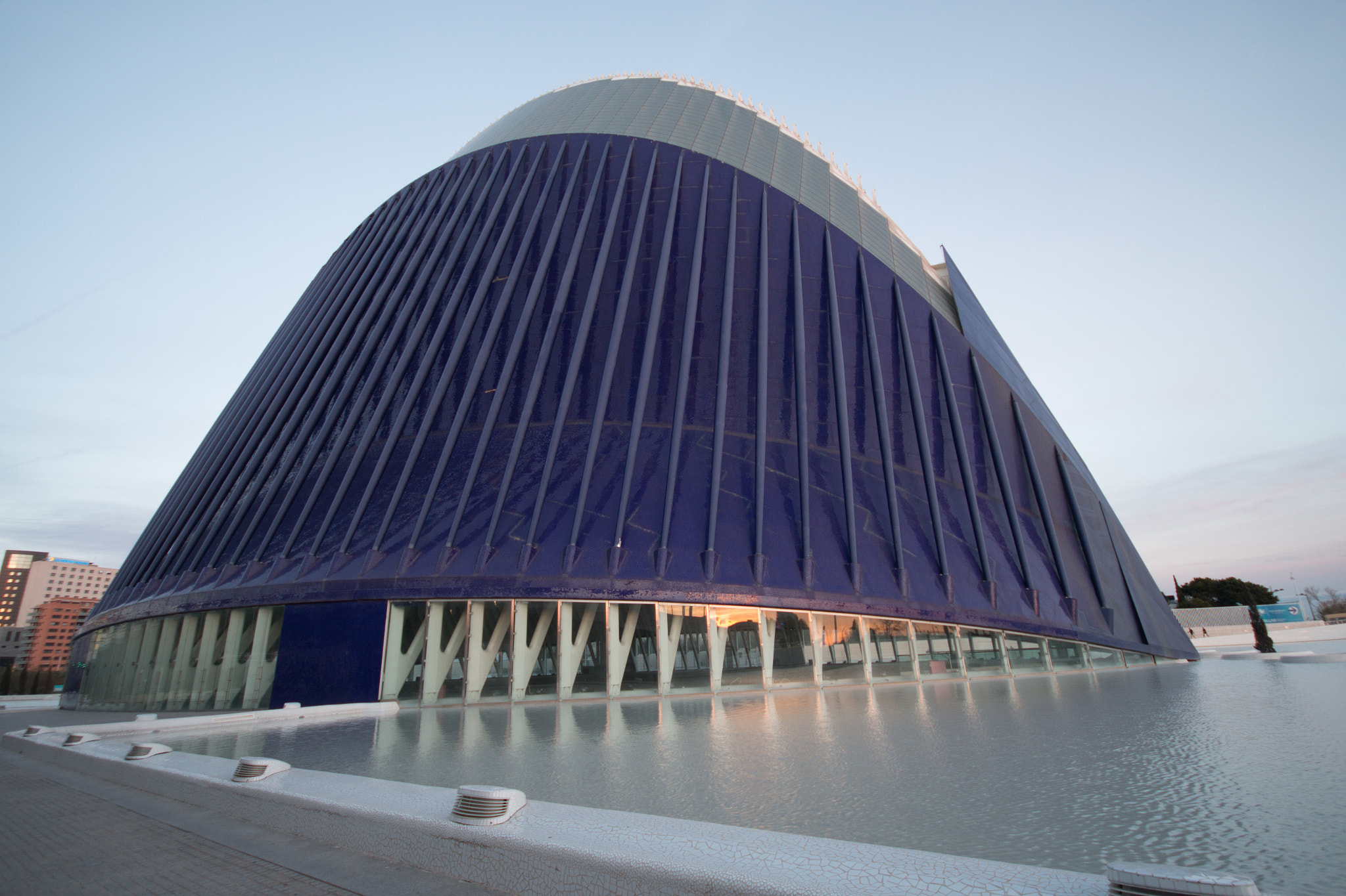 Canon EOS 70D + Sigma 10-20mm F4-5.6 EX DC HSM sample photo. Ciudad artes y las ciencias photography