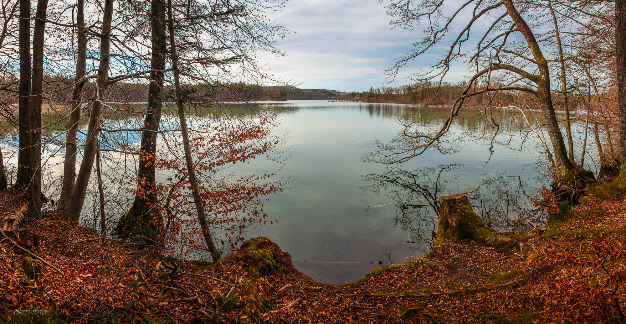 Sigma 18-250mm F3.5-6.3 DC OS HSM sample photo. Langbürgner see photography