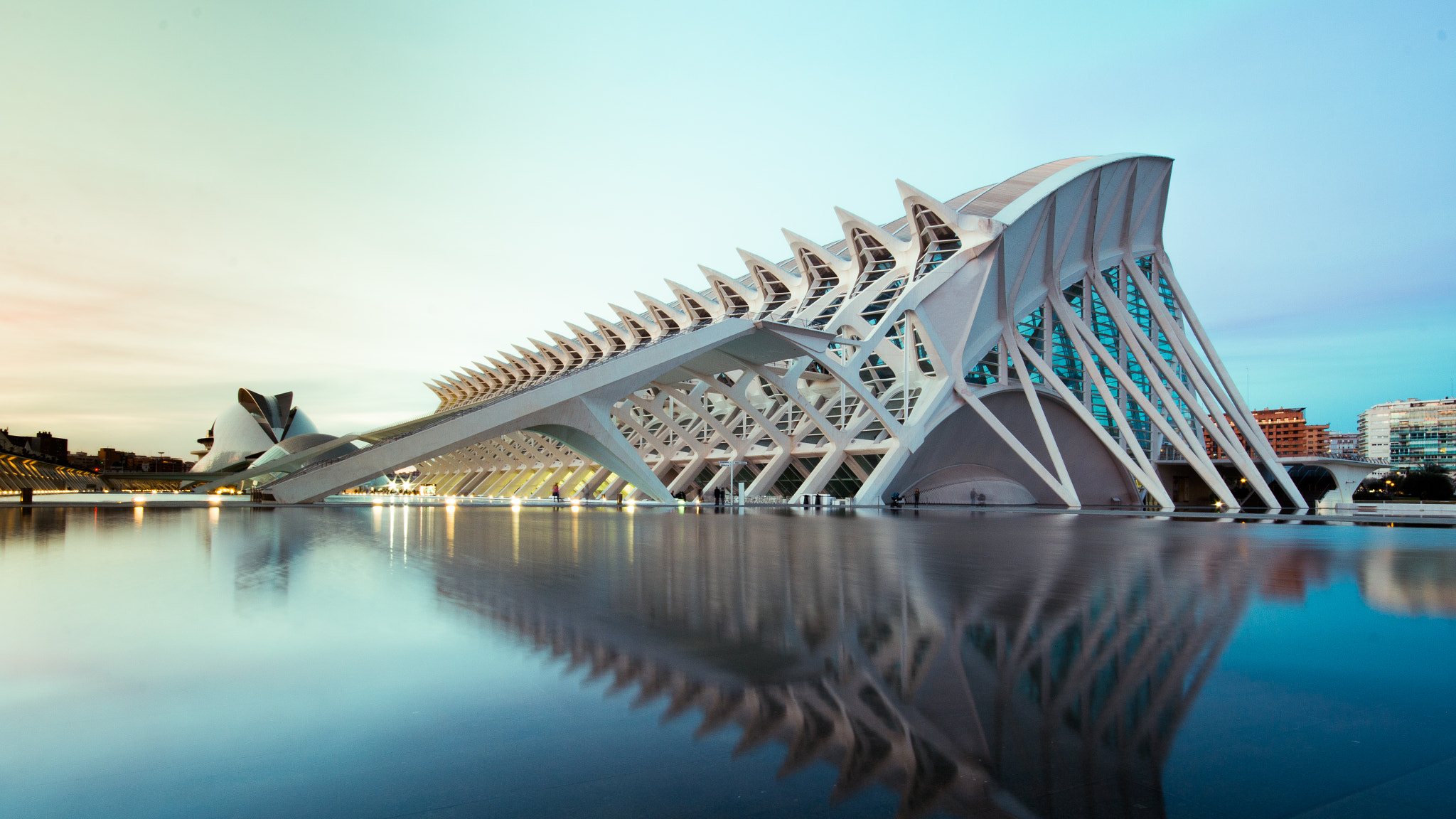 Canon EOS 70D + Sigma 10-20mm F4-5.6 EX DC HSM sample photo. Ciudad artes y las ciencias photography