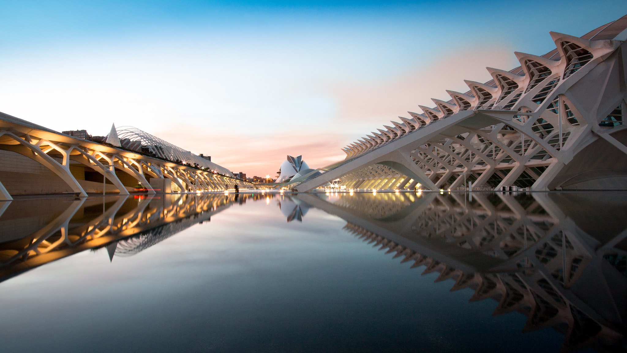 Canon EOS 70D + Sigma 10-20mm F4-5.6 EX DC HSM sample photo. Ciudad artes y las ciencias photography
