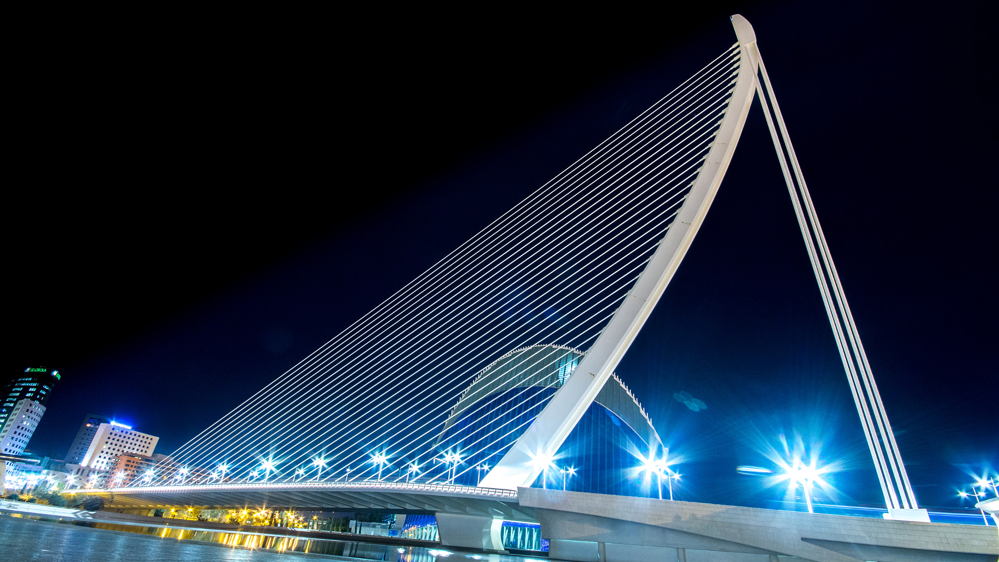 Canon EOS 70D + Sigma 10-20mm F4-5.6 EX DC HSM sample photo. Ciudad artes y las ciencias photography