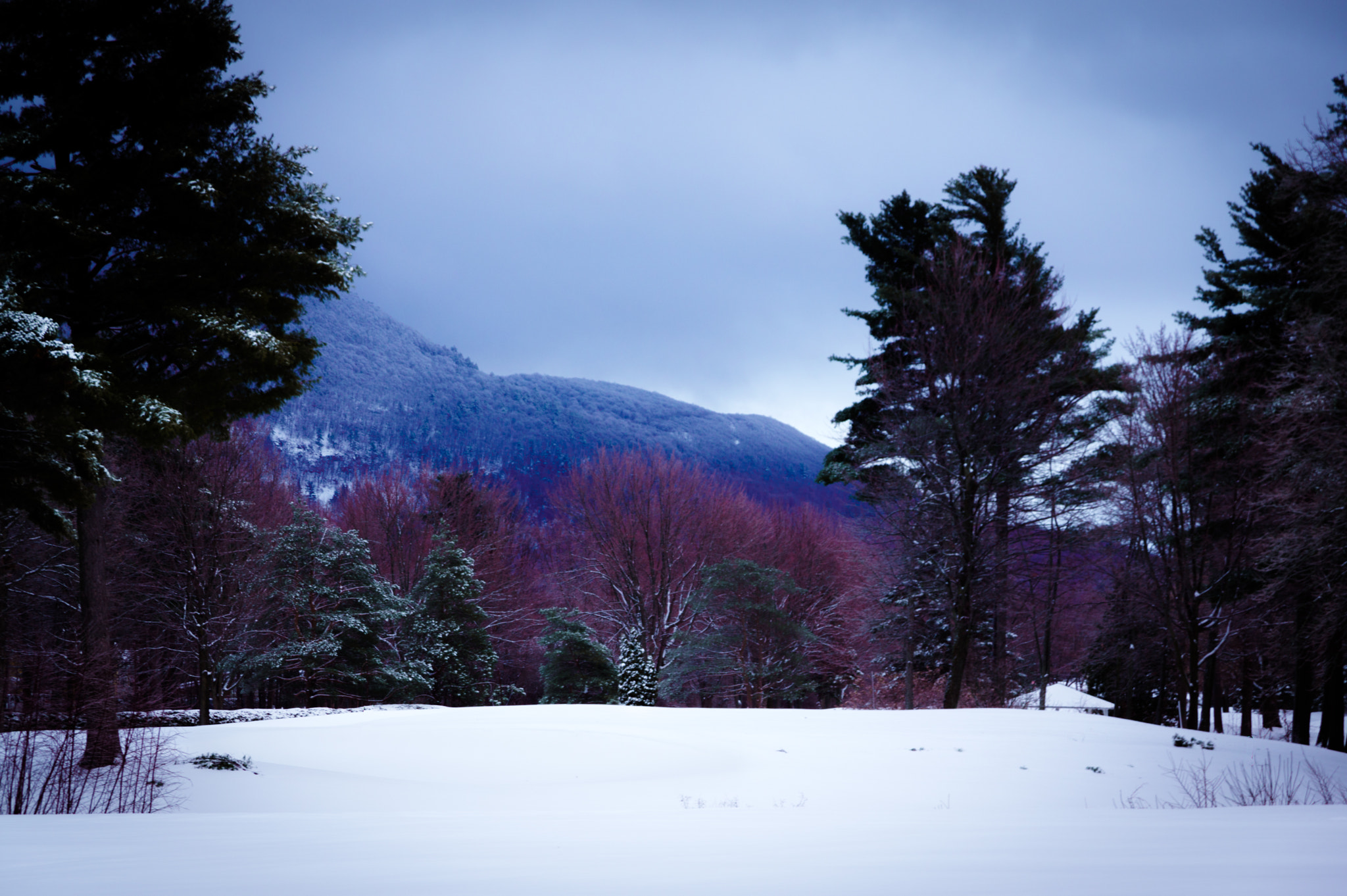 Pentax K-3 II sample photo. Les couleurs de l'hiver photography