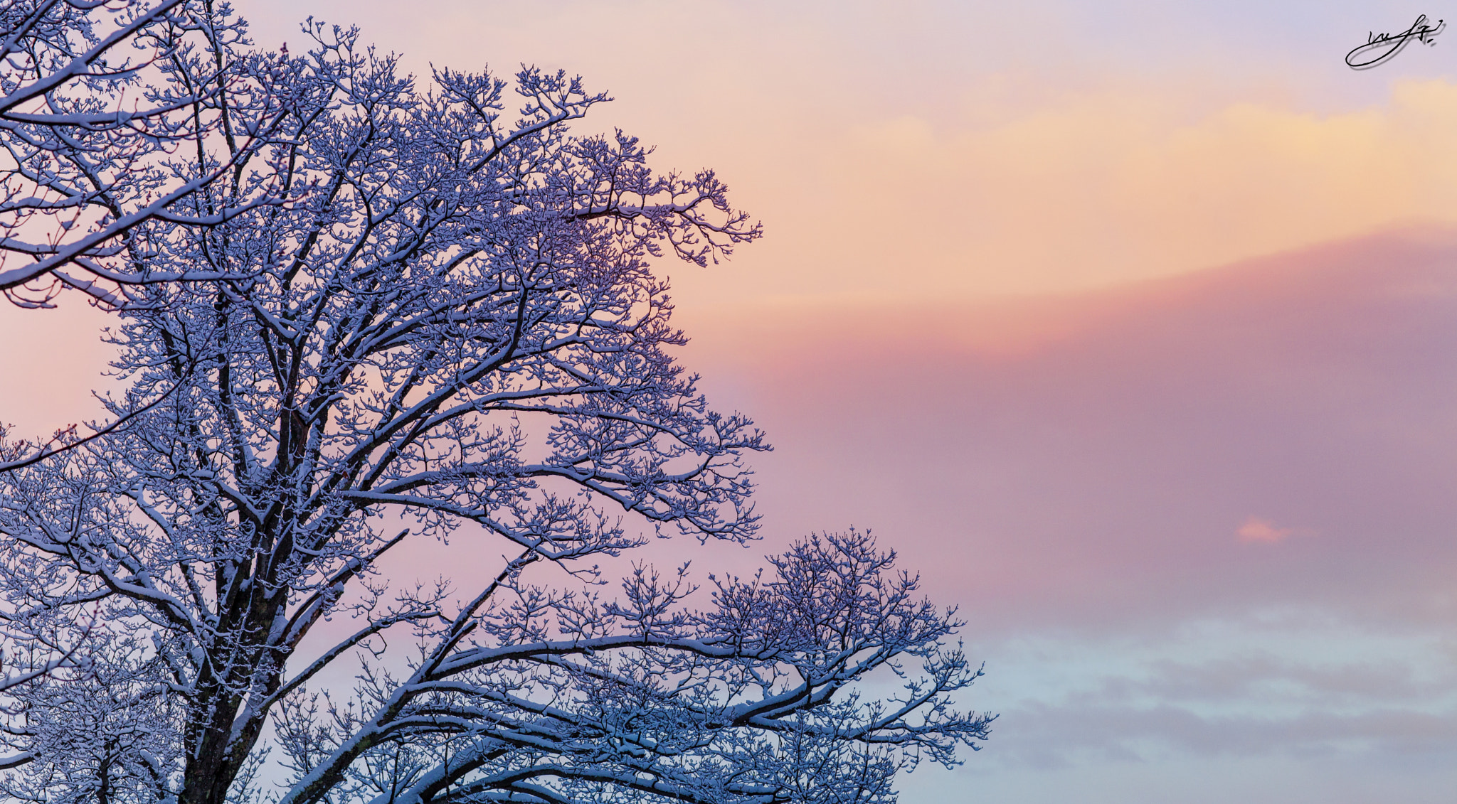 Canon EF 85mm F1.2L II USM sample photo. Winter sky photography