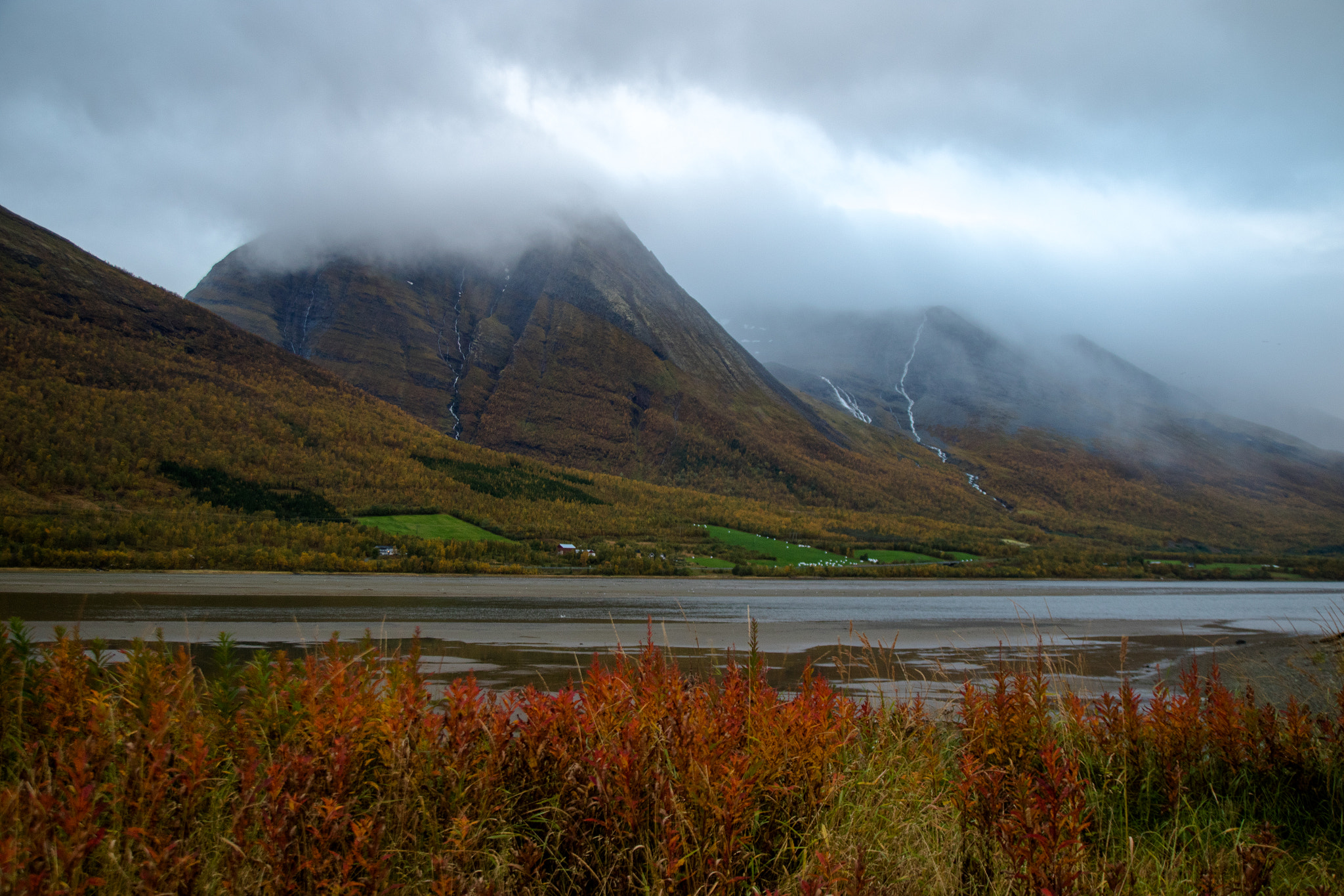 Canon EF-S 17-55mm F2.8 IS USM sample photo. Ramfjord near tromsø photography