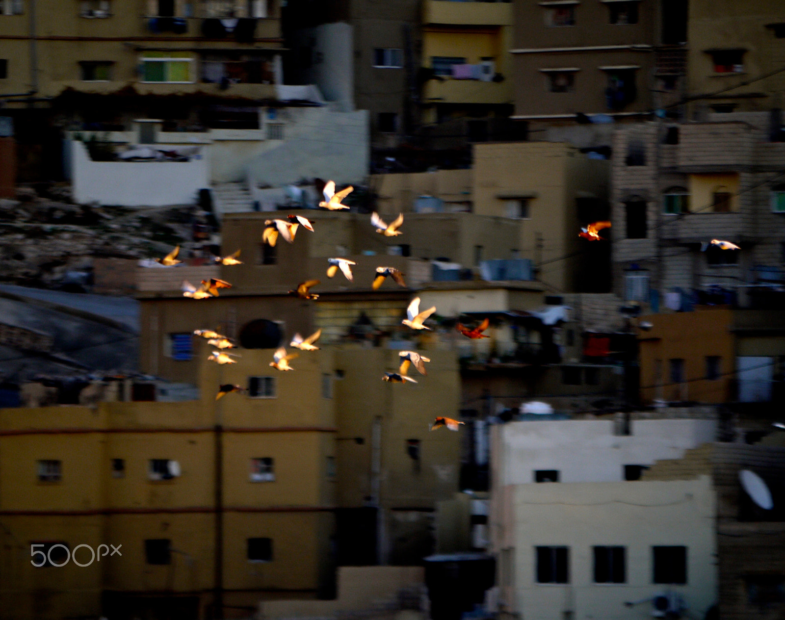 Panasonic Lumix G Vario 45-200mm F4-5.6 OIS sample photo. Amman, jordan. عمان، الأردن photography