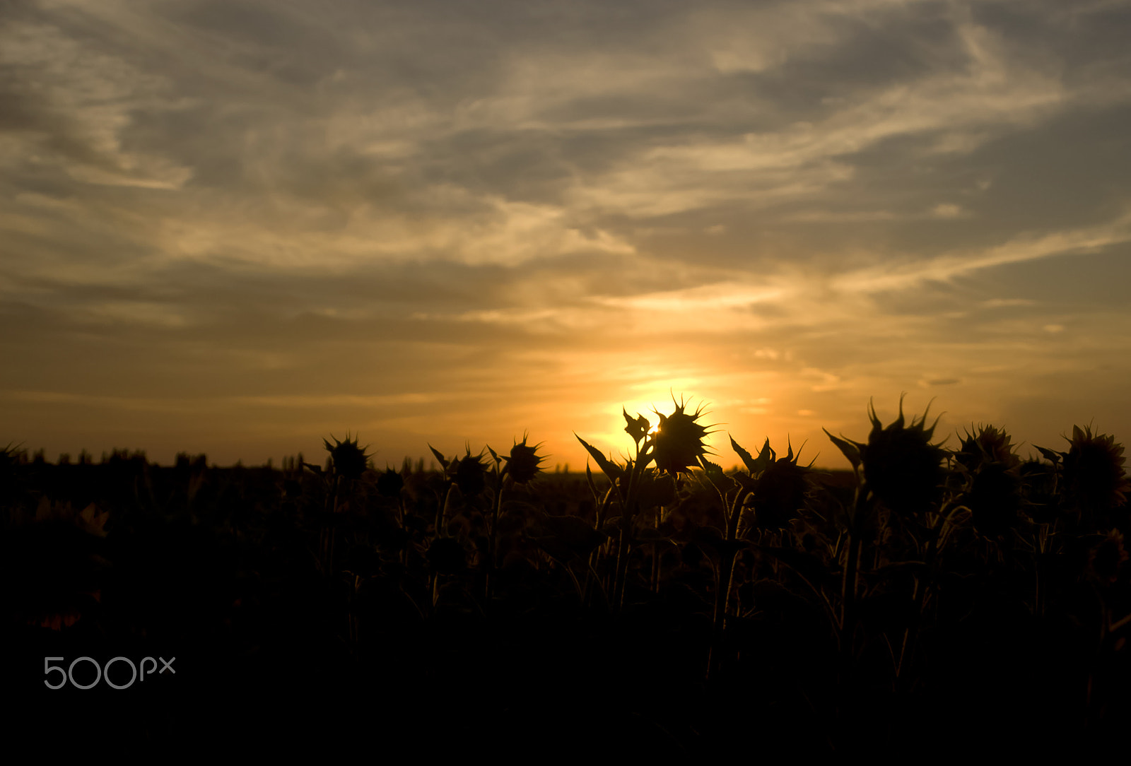 AF Zoom-Nikkor 28-105mm f/3.5-4.5D IF sample photo. Летний Пейзаж photography
