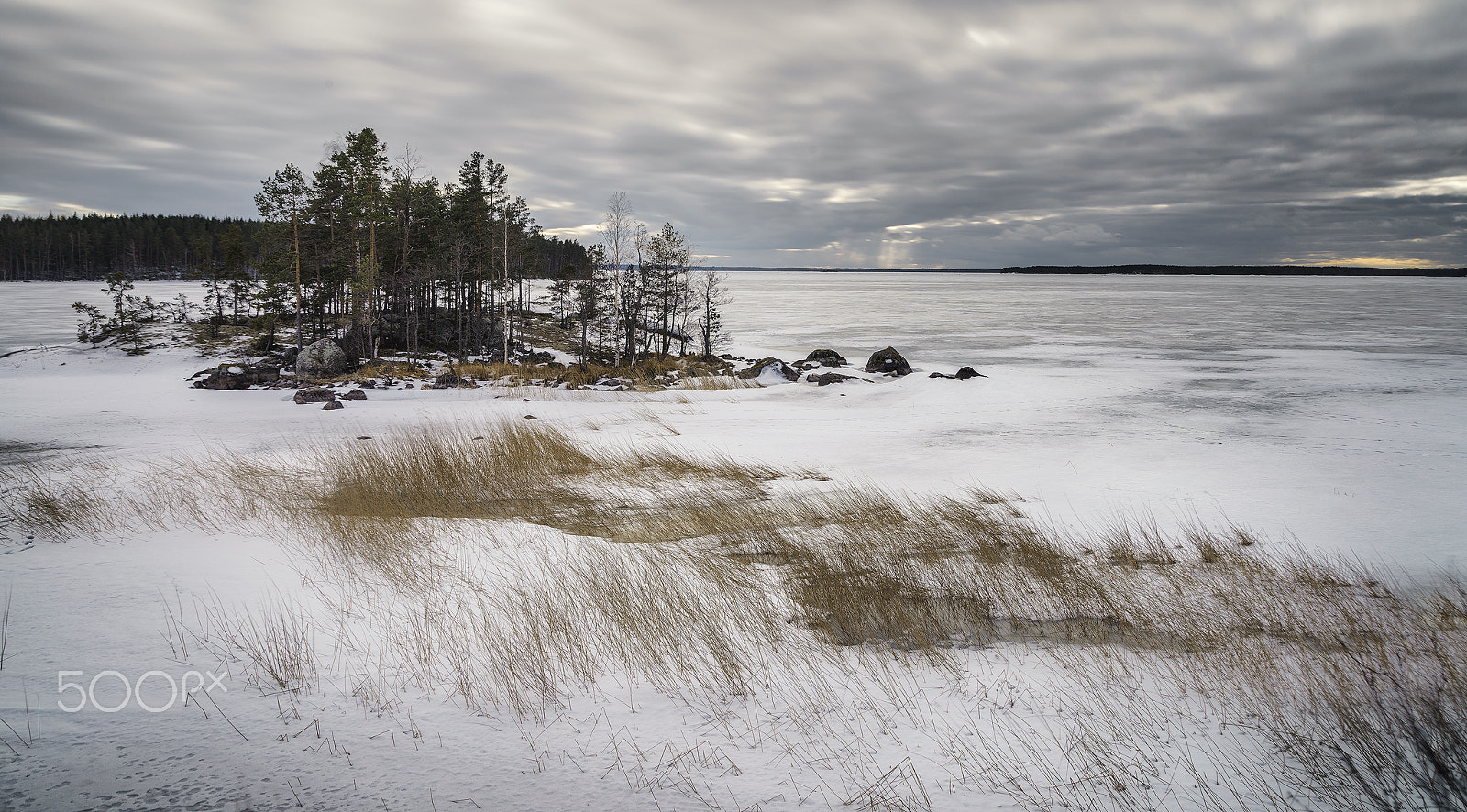 Nikon D810 sample photo. Lake saimaa photography