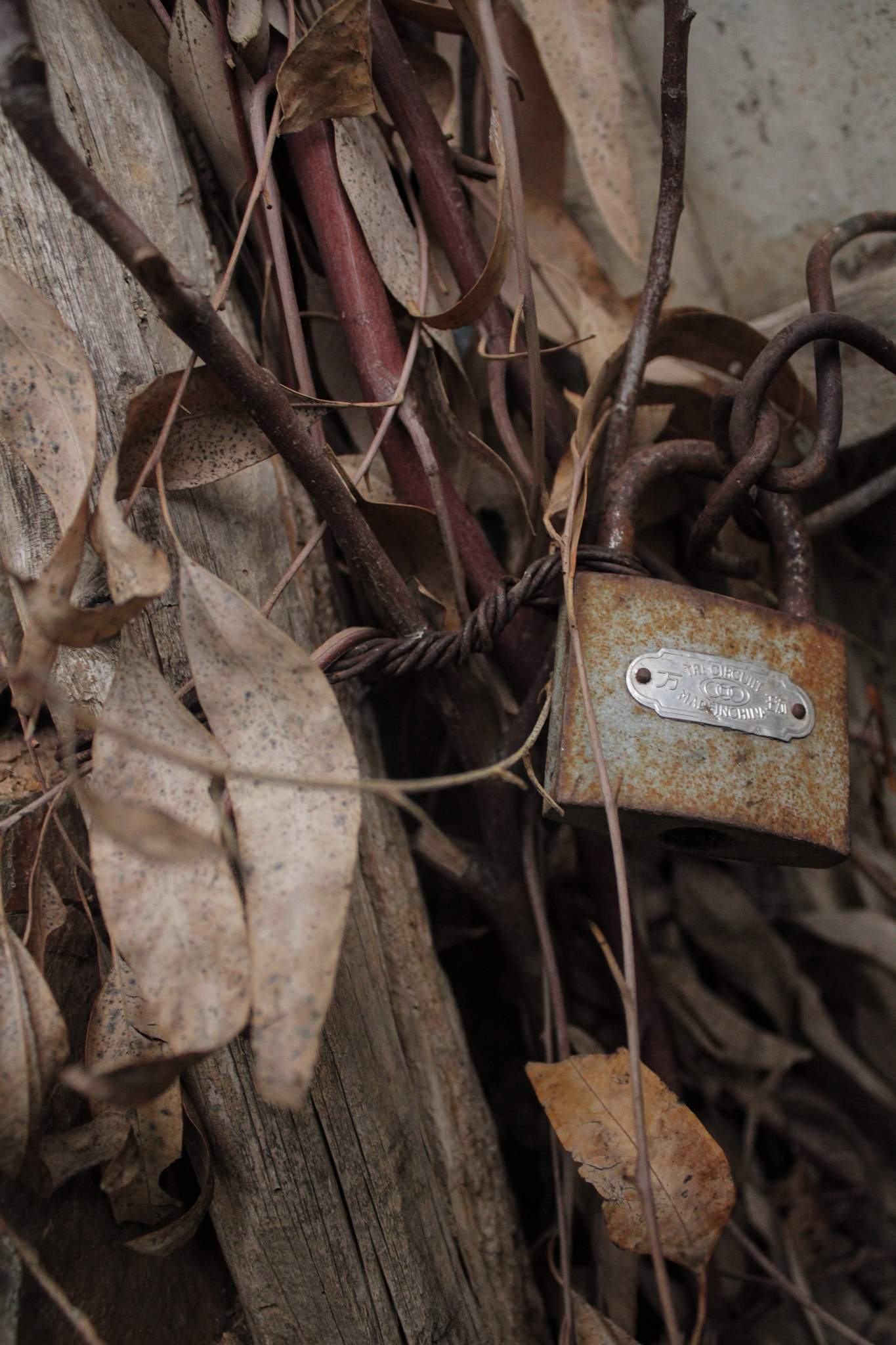 Canon EF-S 18-55mm F3.5-5.6 III sample photo. The door is closed photography