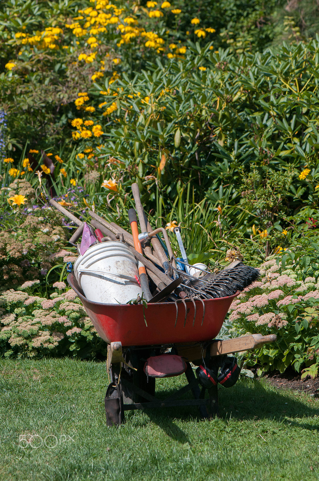 Nikon AF-S Micro-Nikkor 105mm F2.8G IF-ED VR sample photo. Gardening photography