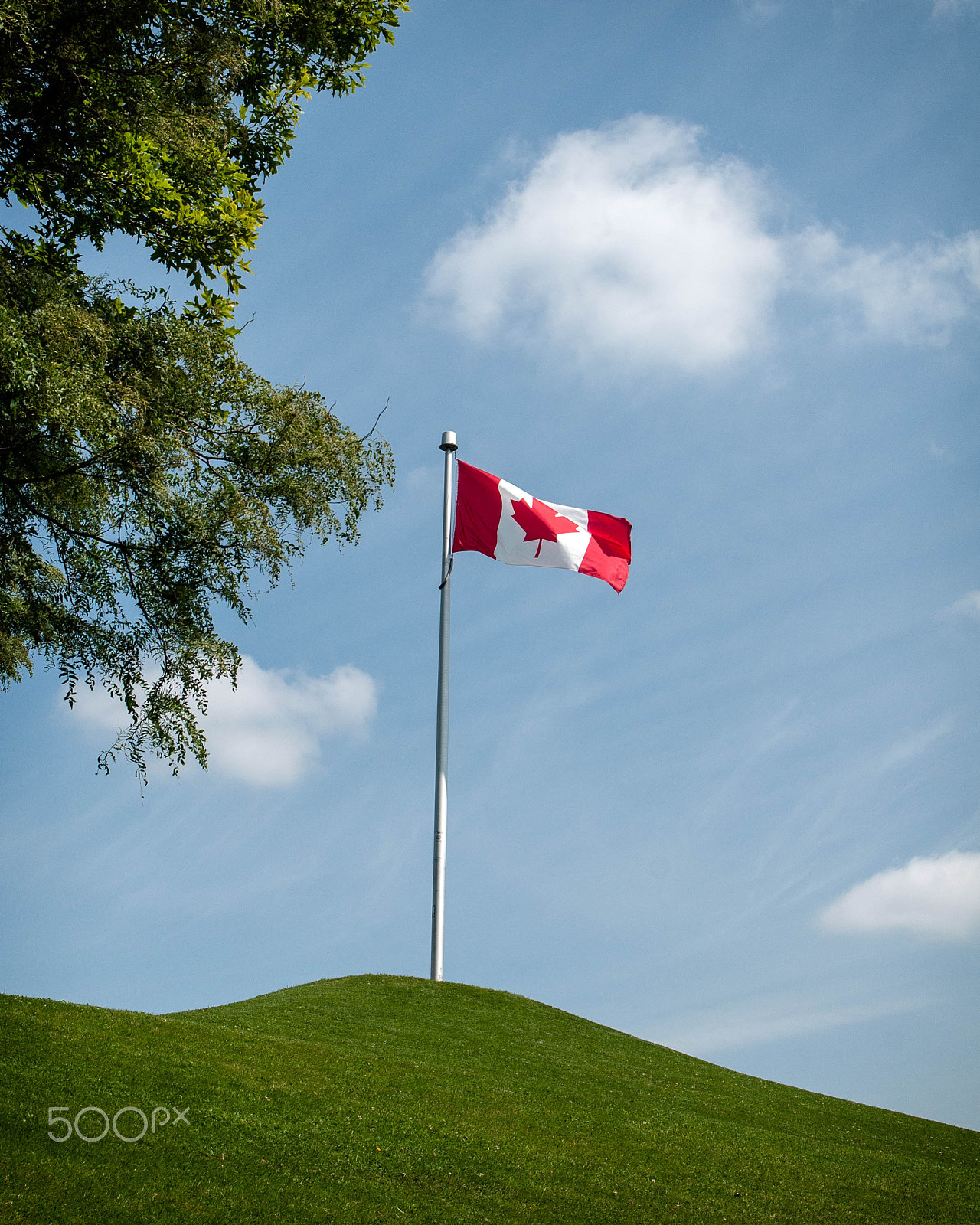 Nikon D300 sample photo. Canada flag photography