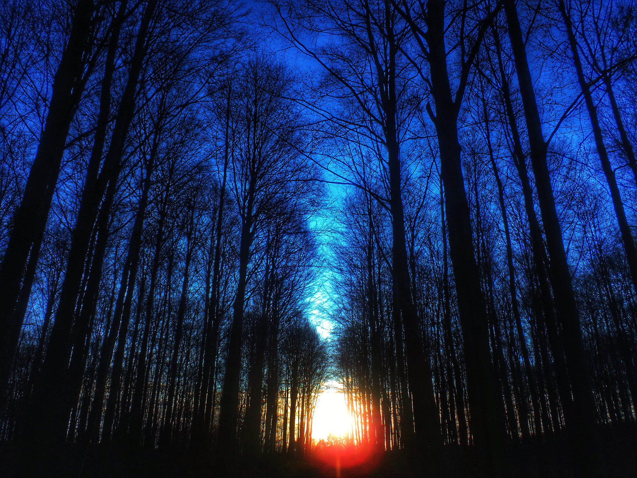 Olympus StylusTough-6020 sample photo. Blue sunrise photography