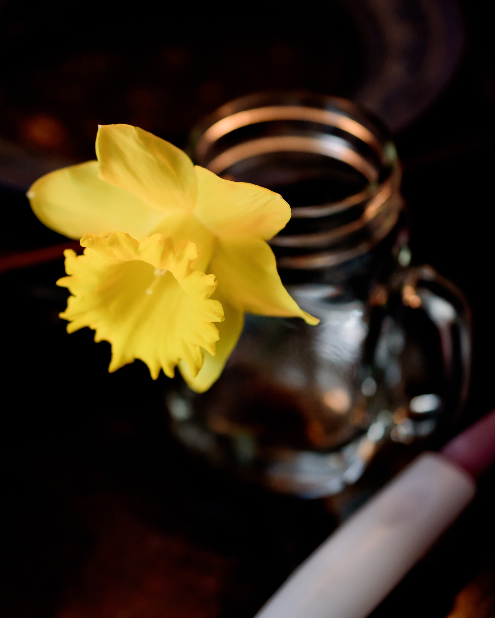 Nikon AF-S DX Micro Nikkor 40mm F2.8 sample photo. Daffodil in mason jar still life photography