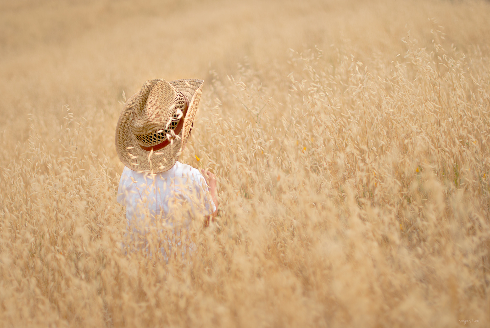 Nikon D80 sample photo. Cowboy photography