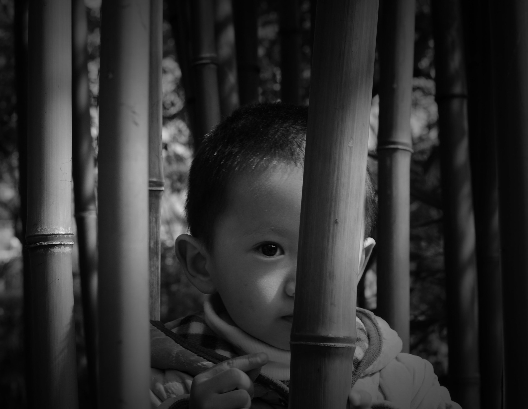 Nikon D7000 + Nikon AF-S Nikkor 50mm F1.4G sample photo. 迷 photography