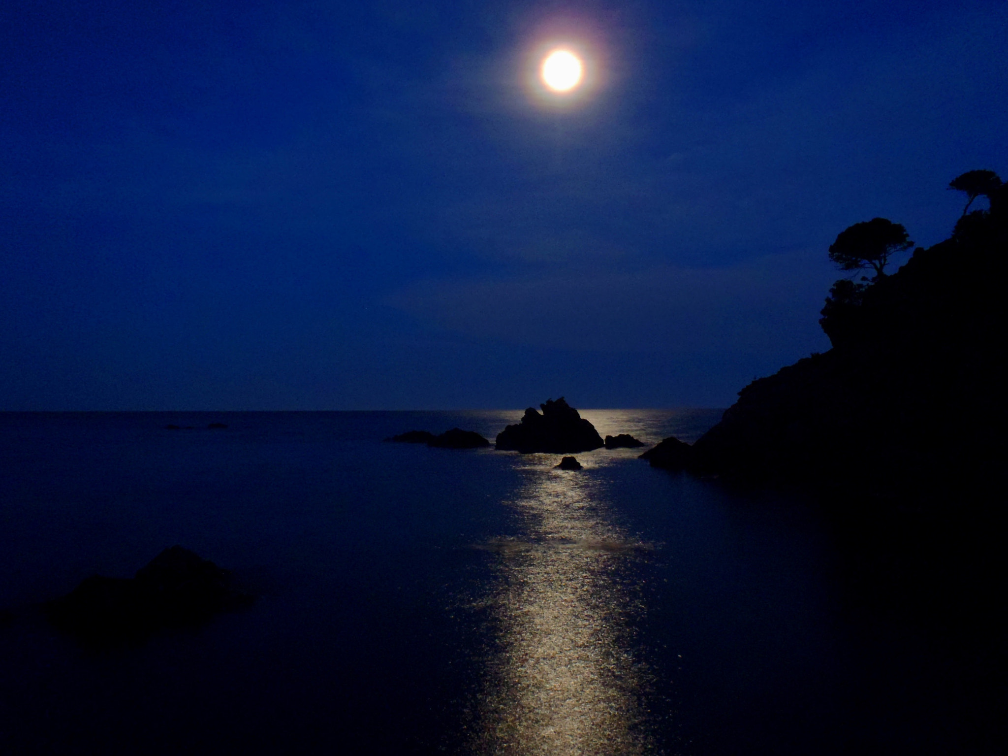 Olympus StylusTough-6020 sample photo. Moonlight path photography