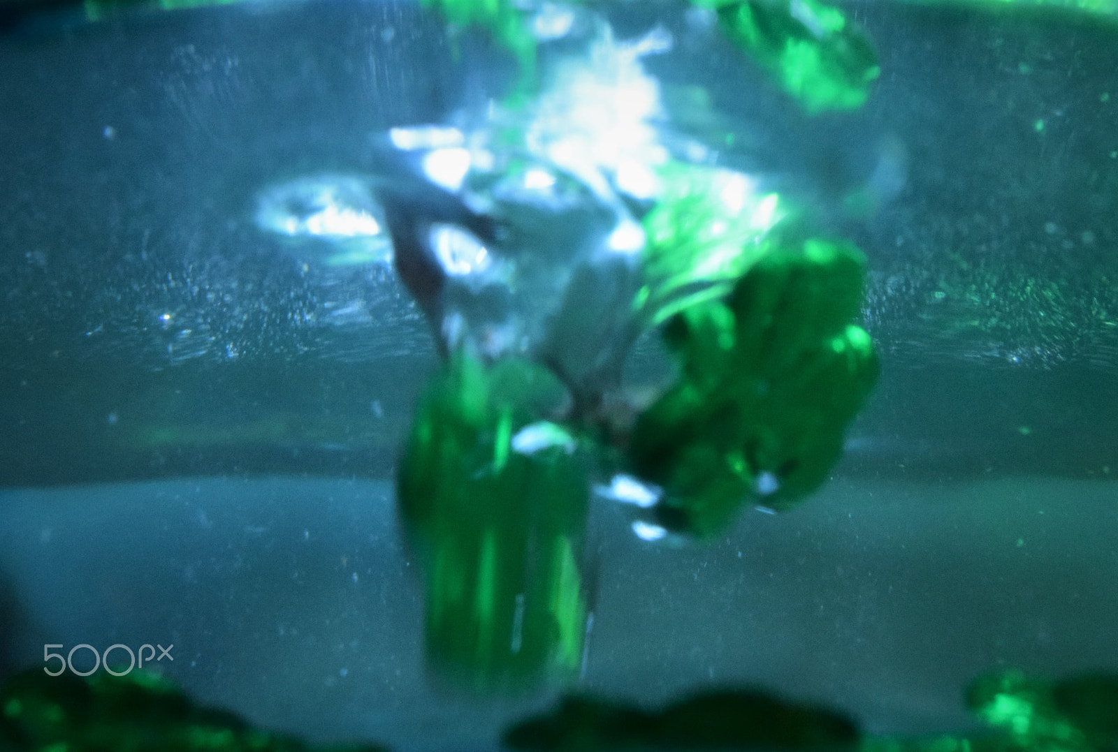 Nikon AF-S DX Micro Nikkor 40mm F2.8 sample photo. Shamrocks sink with bubbles photography