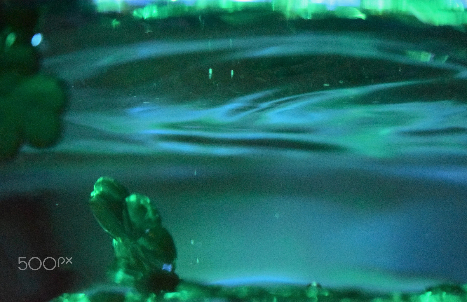 Nikon AF-S DX Micro Nikkor 40mm F2.8 sample photo. Shamrock waters photography
