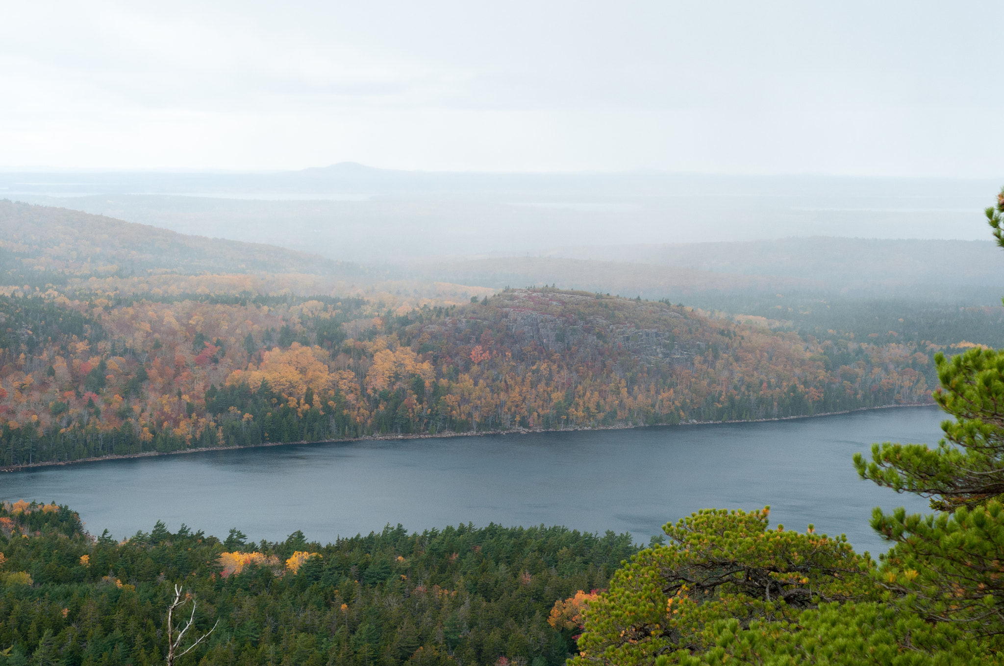 Nikon D300S + Nikon AF Nikkor 50mm F1.8D sample photo. Acadia colors photography