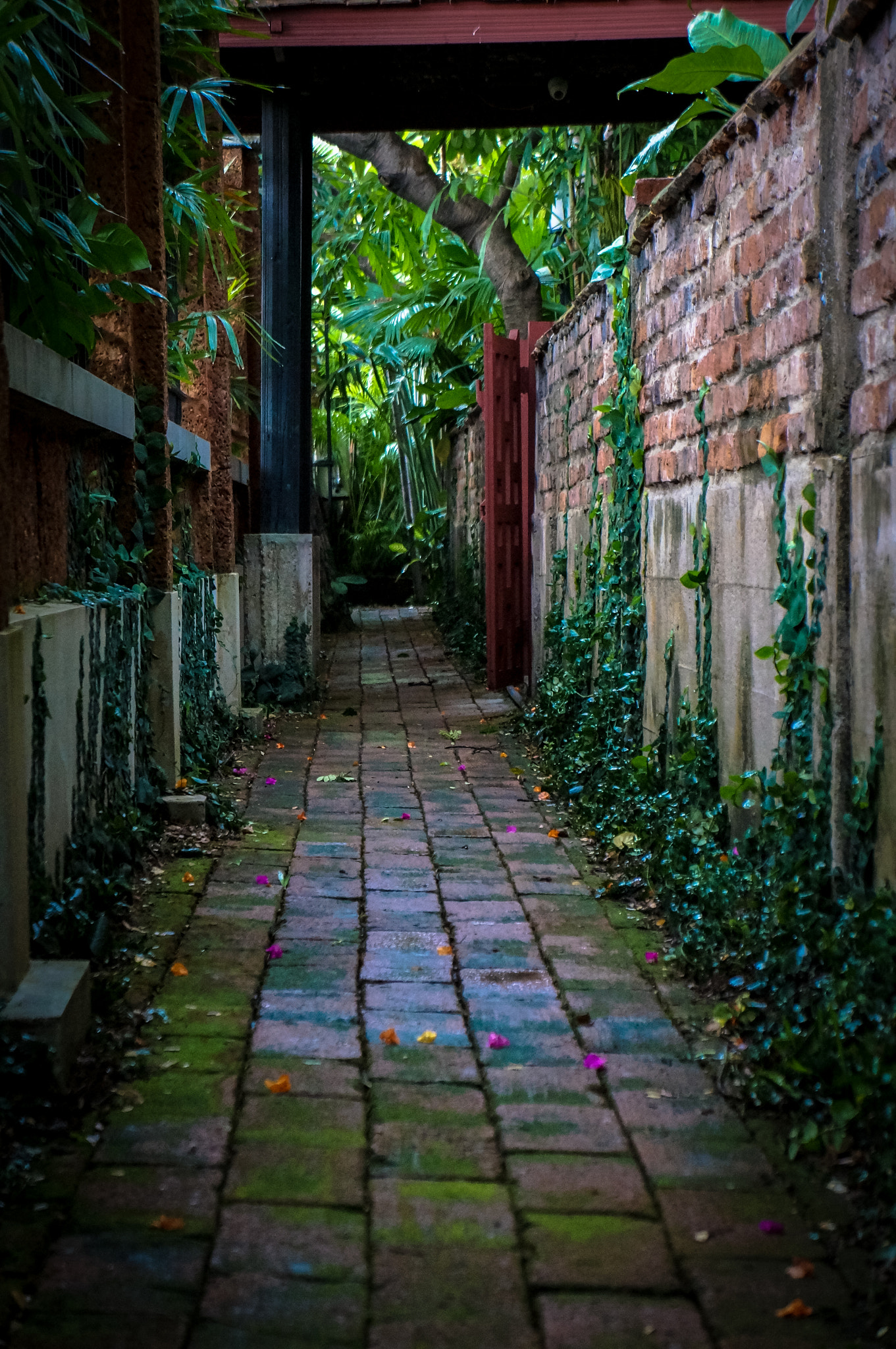 Sony E 18-55mm F3.5-5.6 OSS sample photo. Jim thompson house photography