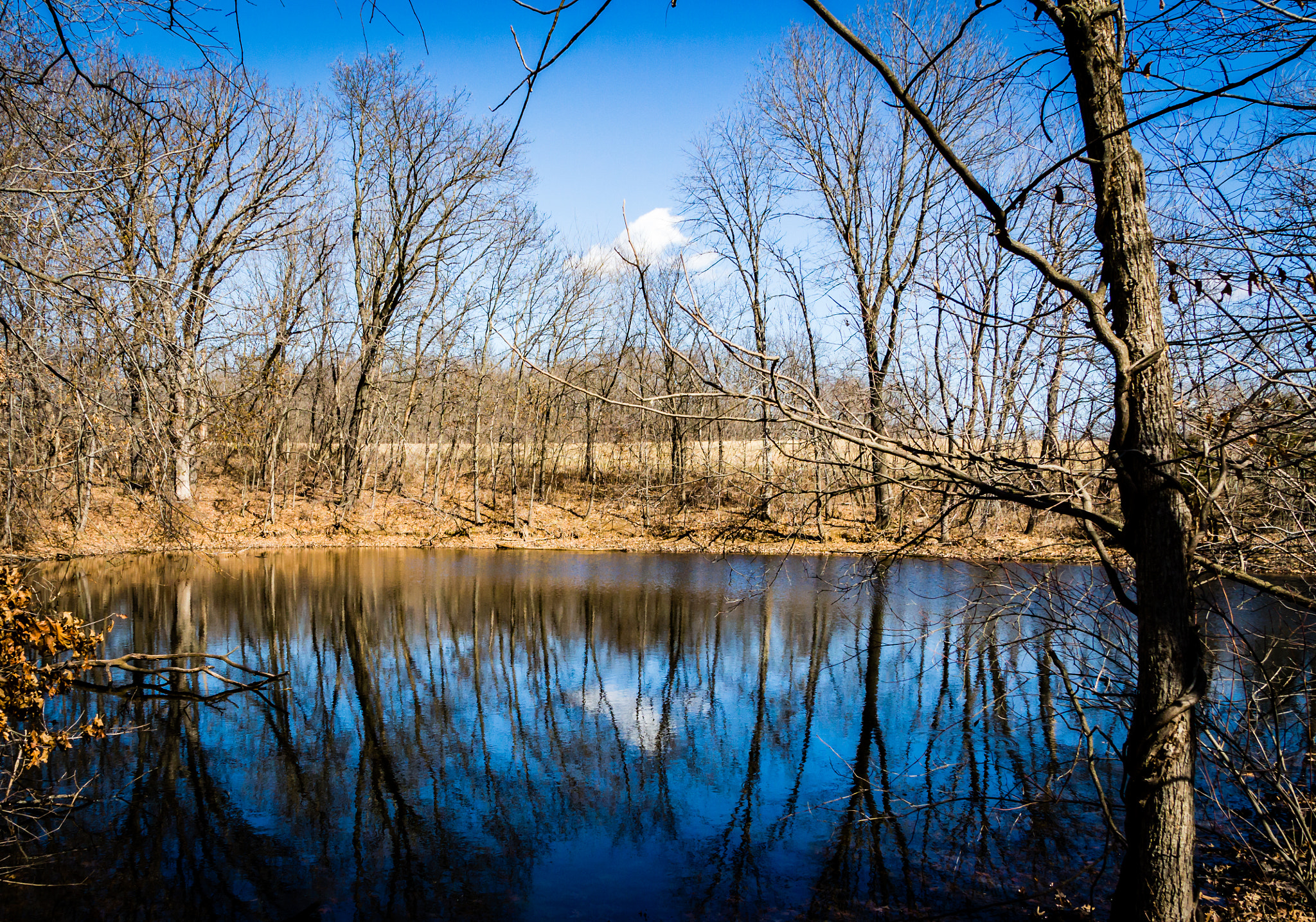 Canon EF-S 17-55mm F2.8 IS USM sample photo. Pond photography