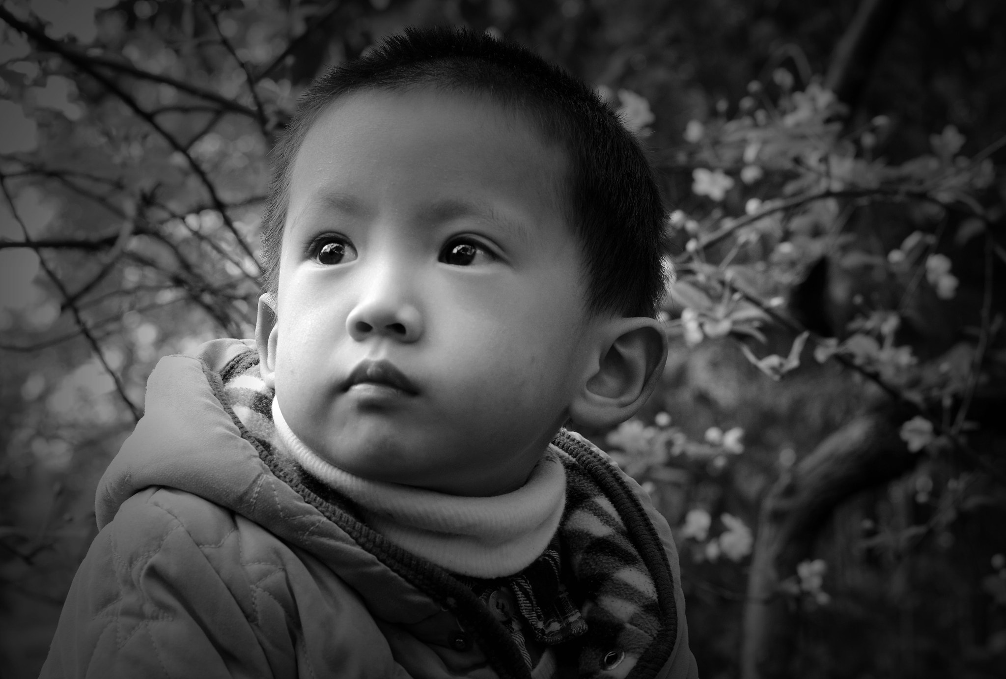 Nikon D7000 + Nikon AF-S Nikkor 50mm F1.4G sample photo. 春忆 photography