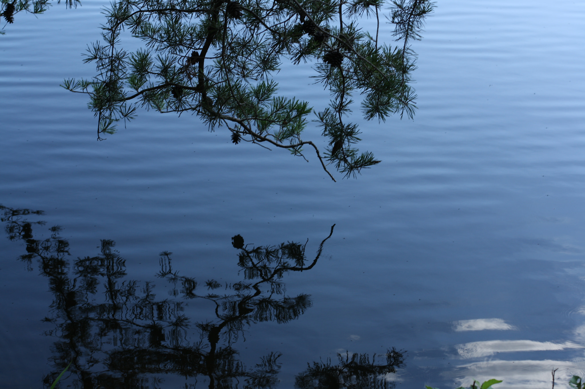 Canon EOS 1000D (EOS Digital Rebel XS / EOS Kiss F) sample photo. Reflection photography