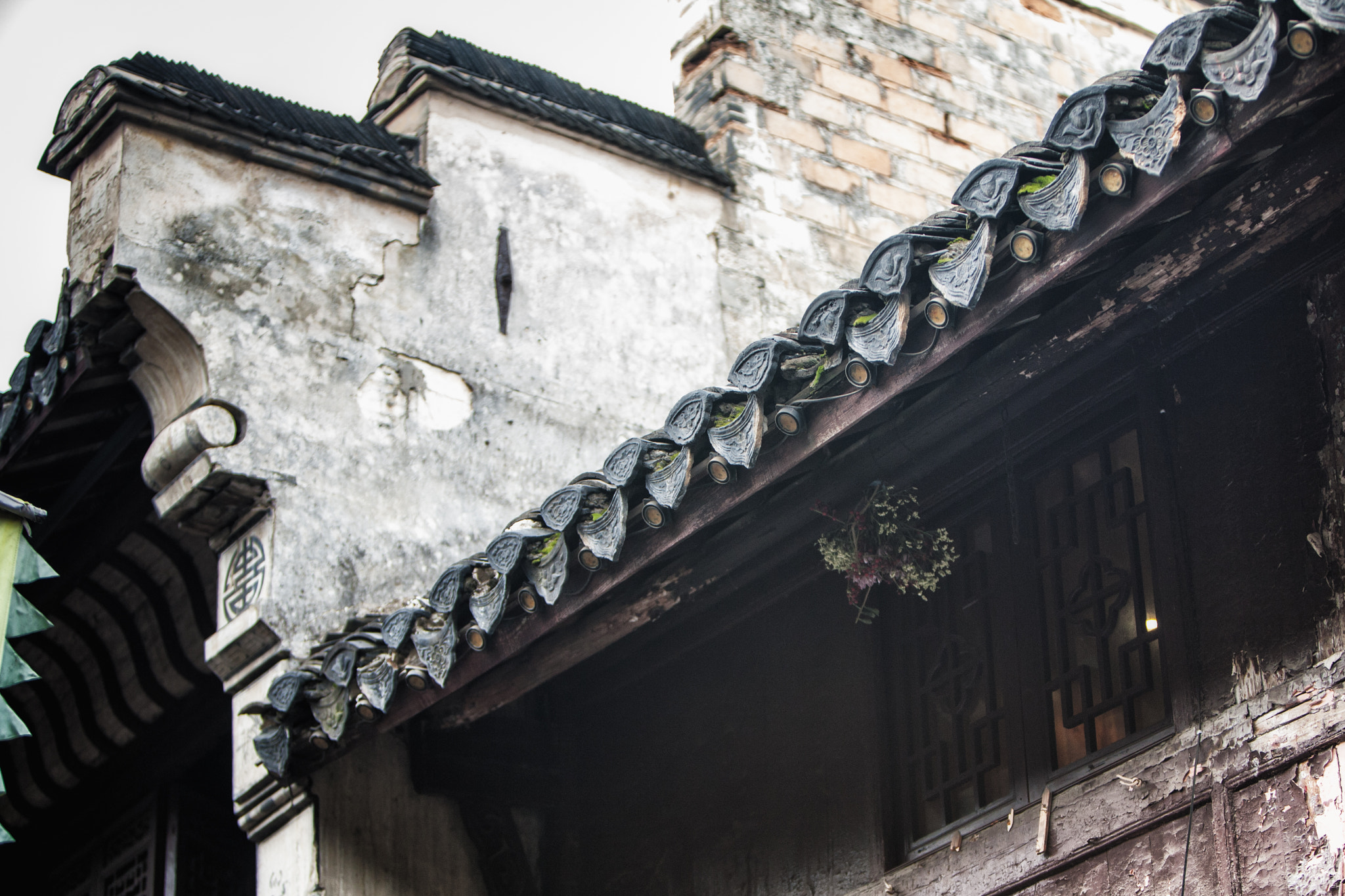 Canon EF 70-200mm F2.8L IS USM sample photo. Window photography