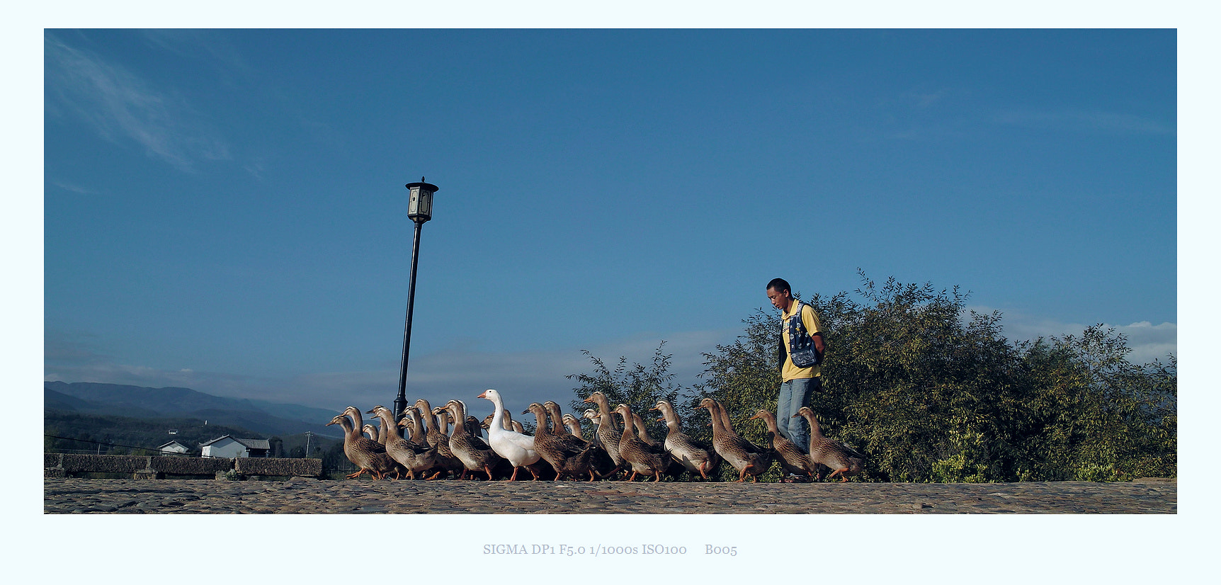 Sigma DP1 sample photo. Morning in shaxi photography