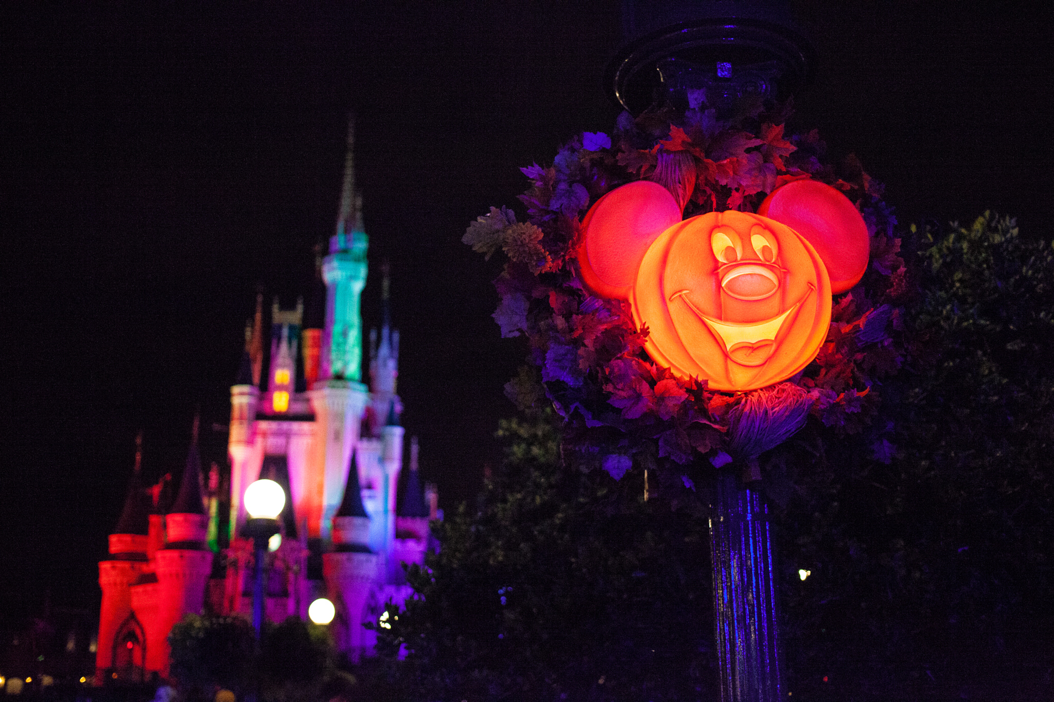 Canon EF 40mm F2.8 STM sample photo. Magic kingdom - cinderella castle photography